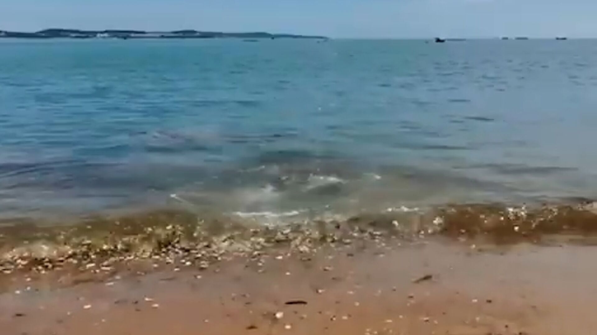 Drone aria-acqua: un nuovo robot aero-acquatico ha ridotto a un secondo il transitorio di movimento fra gas e liquido