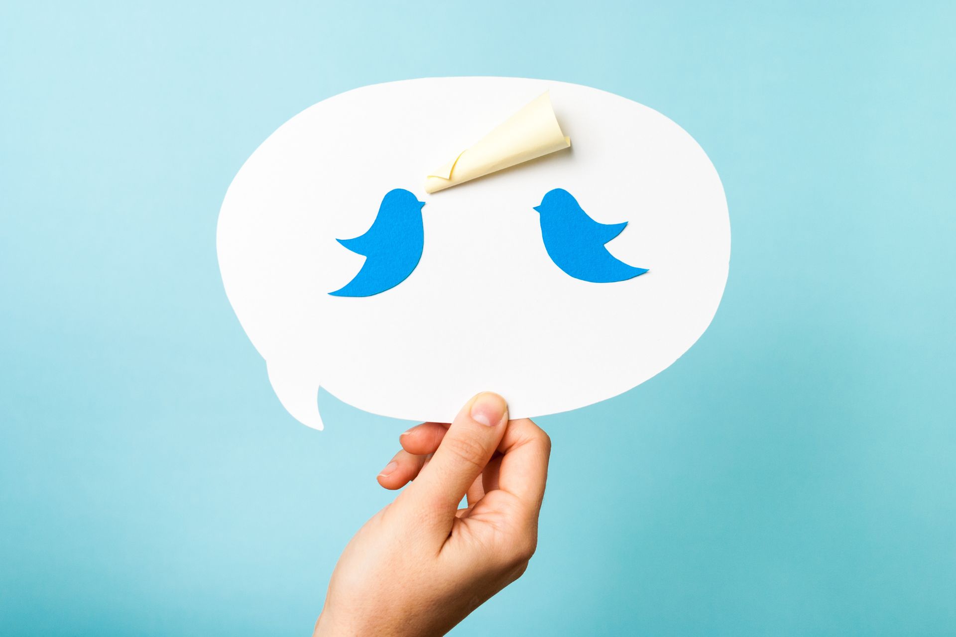 elon musk e twitter