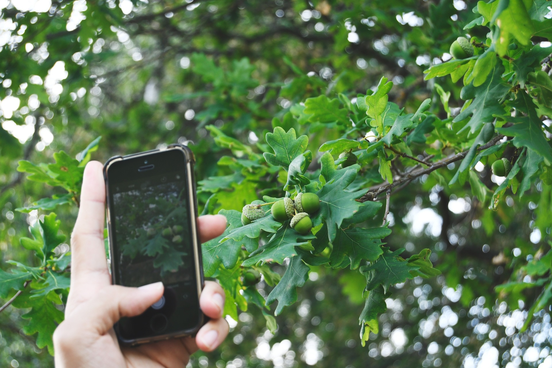 smartphone sostenibili: la diffusione dei telefoni cellulari e un accesso equo a queste tecnologie possono davvero essere un potente strumento per avvicinarsi al raggiungimento degli Obiettivi di Sviluppo Sostenibile stabiliti dall’Organizzazione delle Nazioni Unite