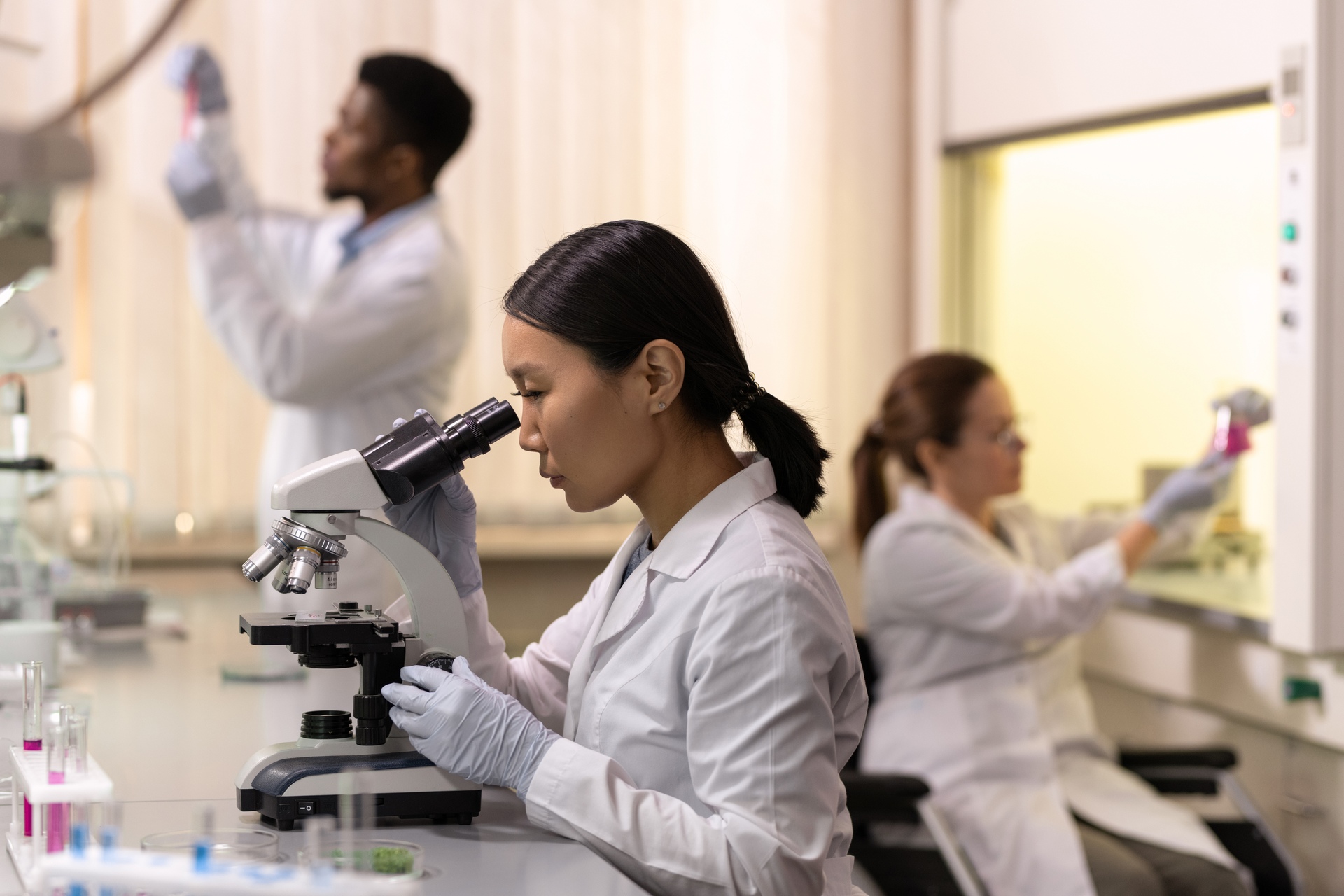 Healthcare: lo Zhejiang è una Provincia orientale e costiera della Repubblica Popolare Cinese, che conta più di 64 milioni di abitanti: nel 2015 il Governo locale ha promosso la costituzione della Healthcare Industry Association (HIA), un sodalizio dell’industria sanitaria e biomedicale