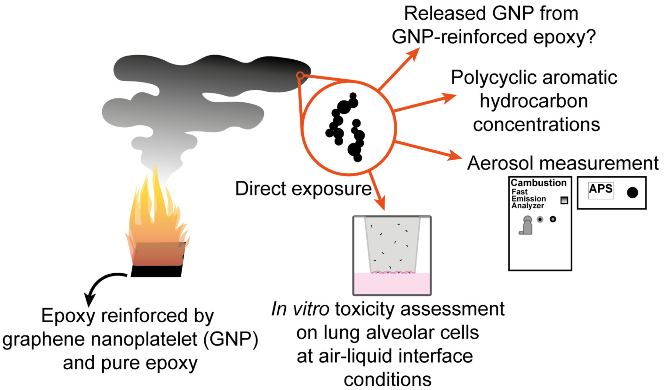 Grafene: un’infografica della produzione di residui dovuti a combustione negli inceneritori di rifiuti oppure in caso di incidente, con possibili effetti tossici sulle cellule dei polmoni (in lingua inglese)