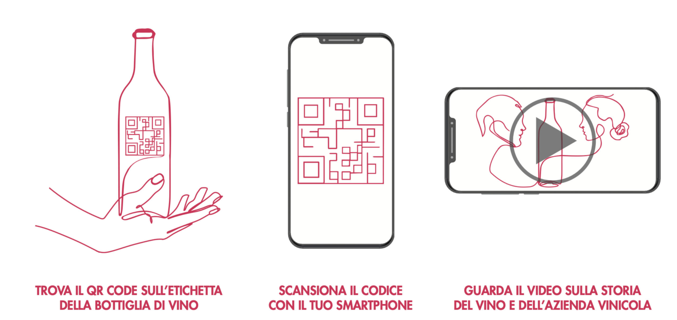 Qwine Code: in un progetto sul vino si usa lo smartphone per leggere il QR Code e ricevere un video di 30” con molte notizie