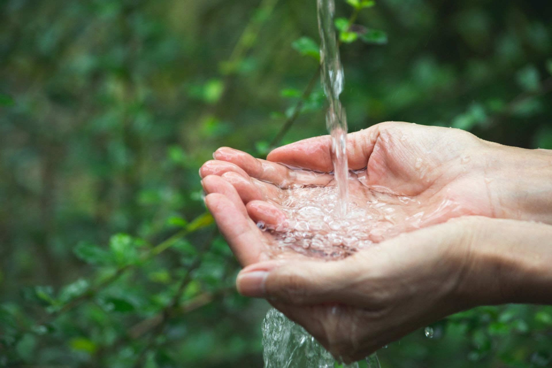 acqua raccolta con le mani