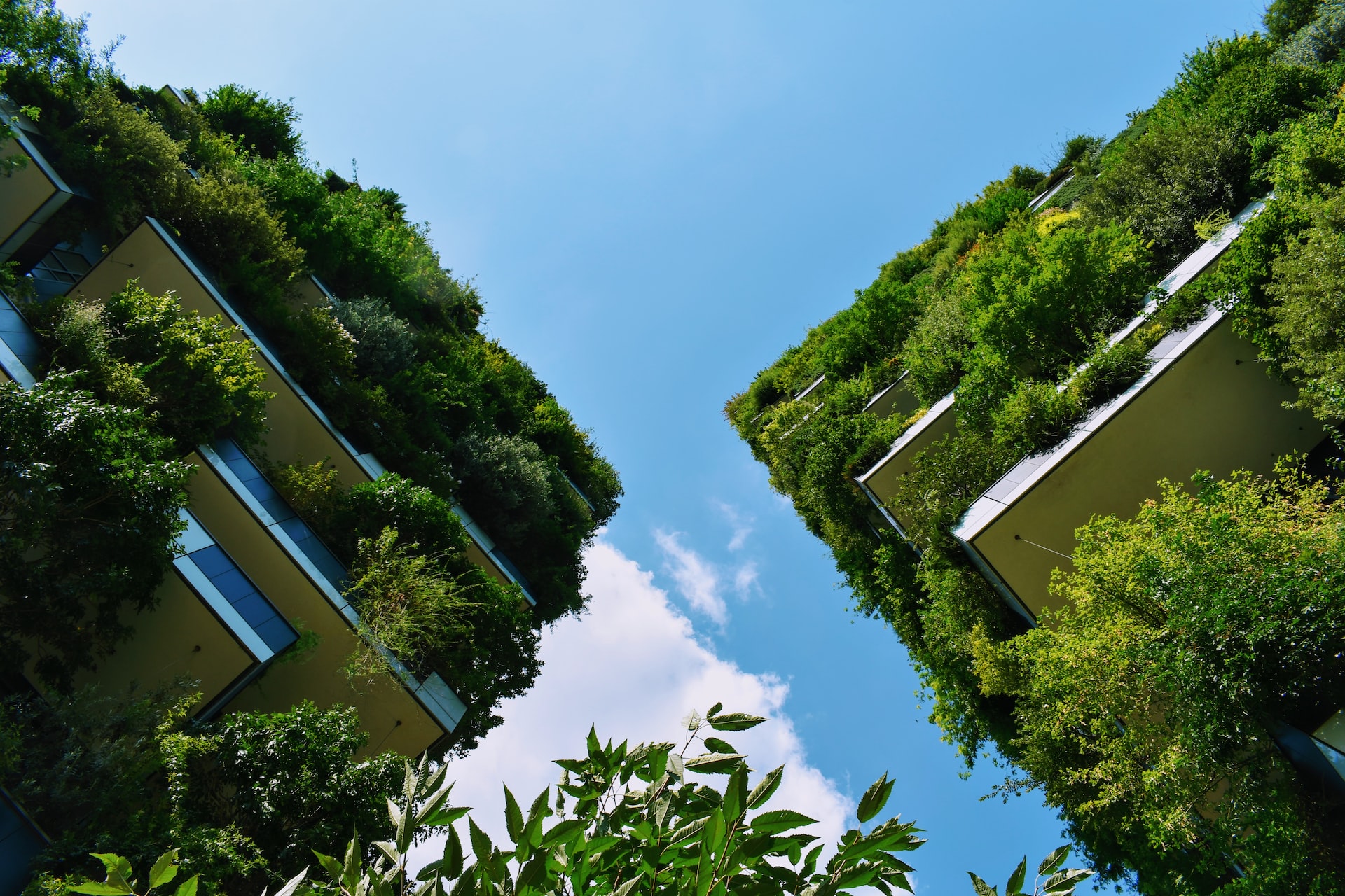 Natura: bosco verticale Milano