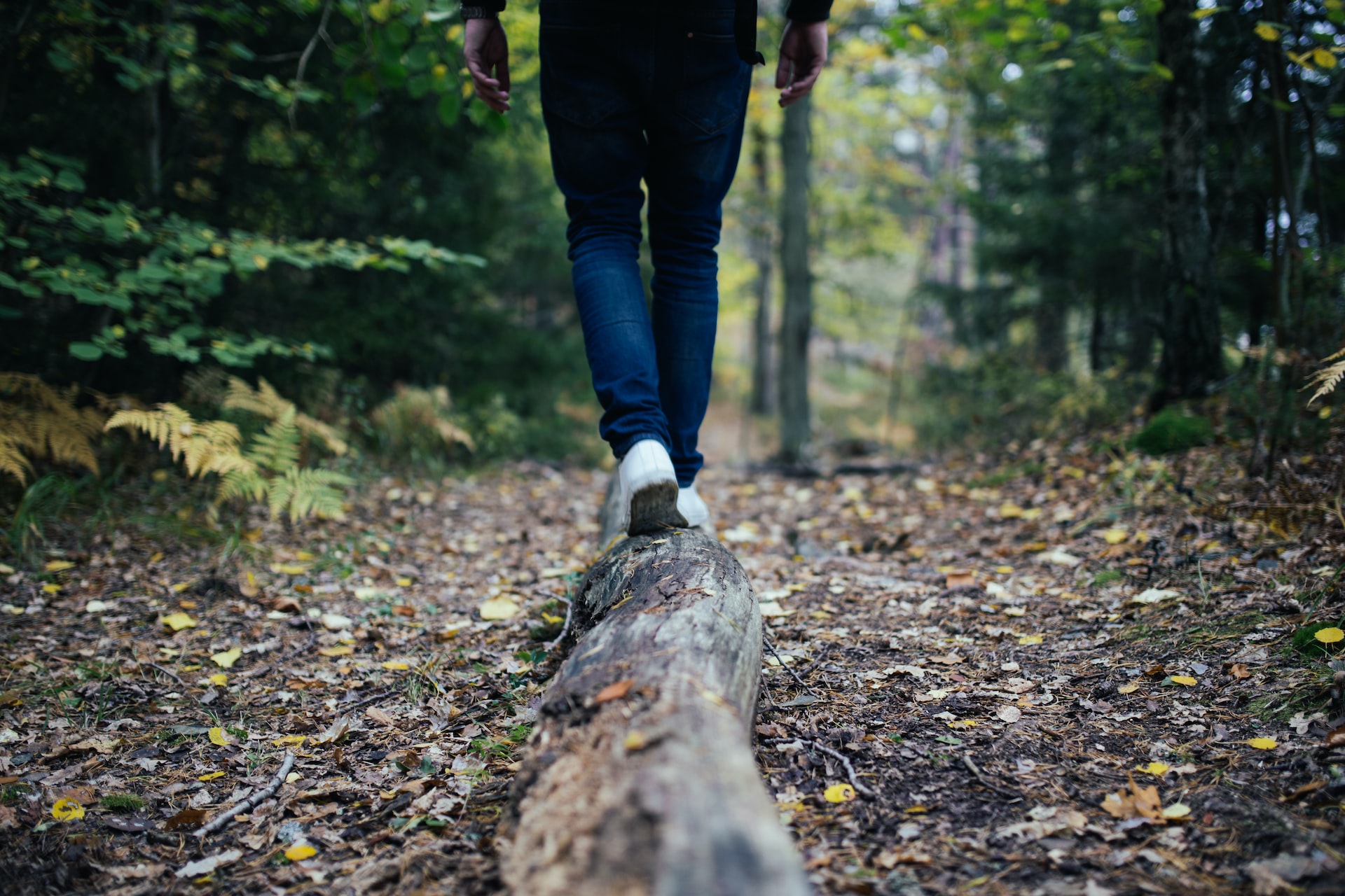 Natura: a passeggio nel bosco