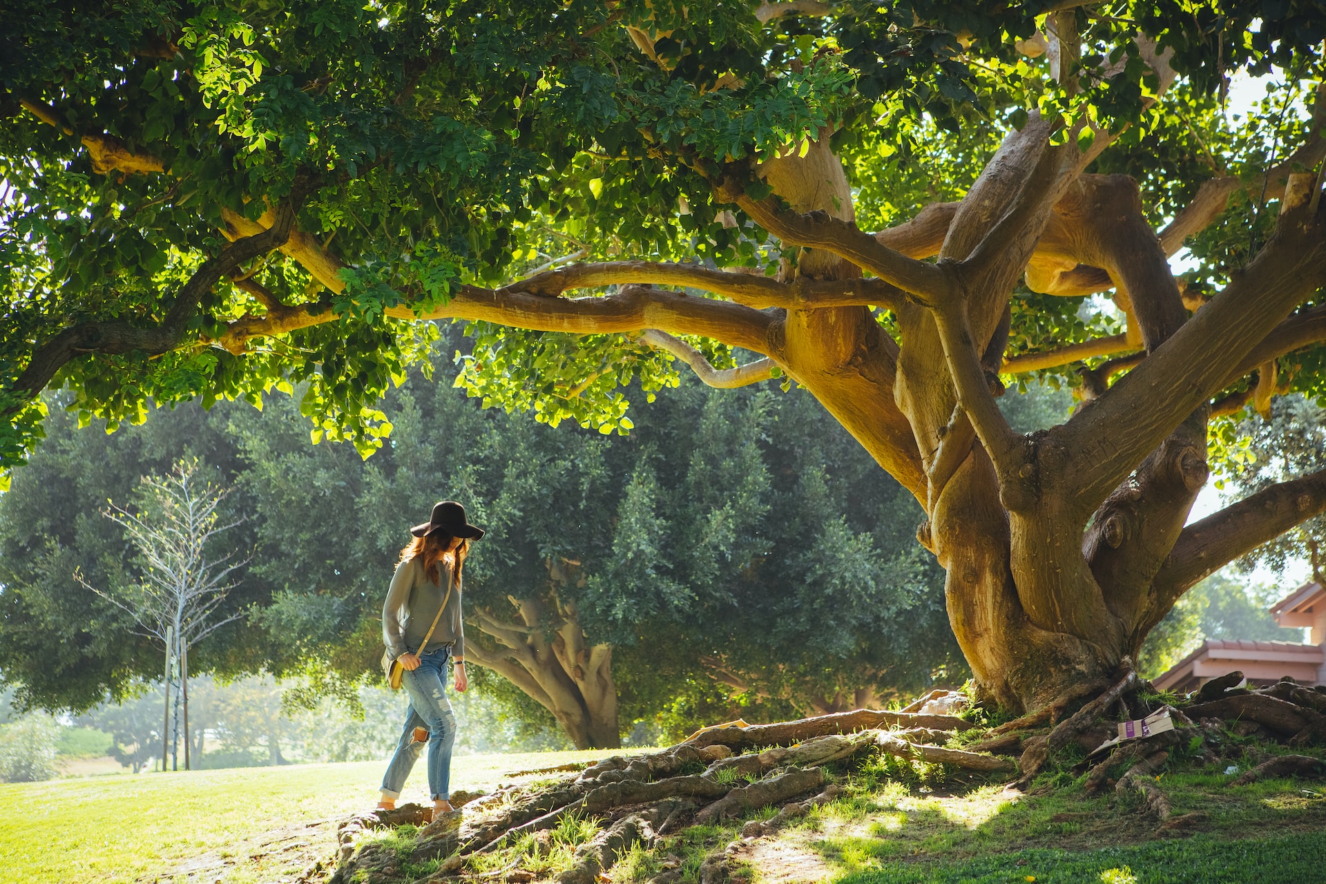 Natura: ragazza nel parco