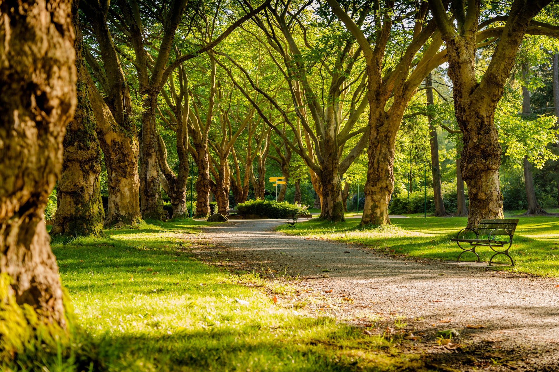 Natura: parchi in città