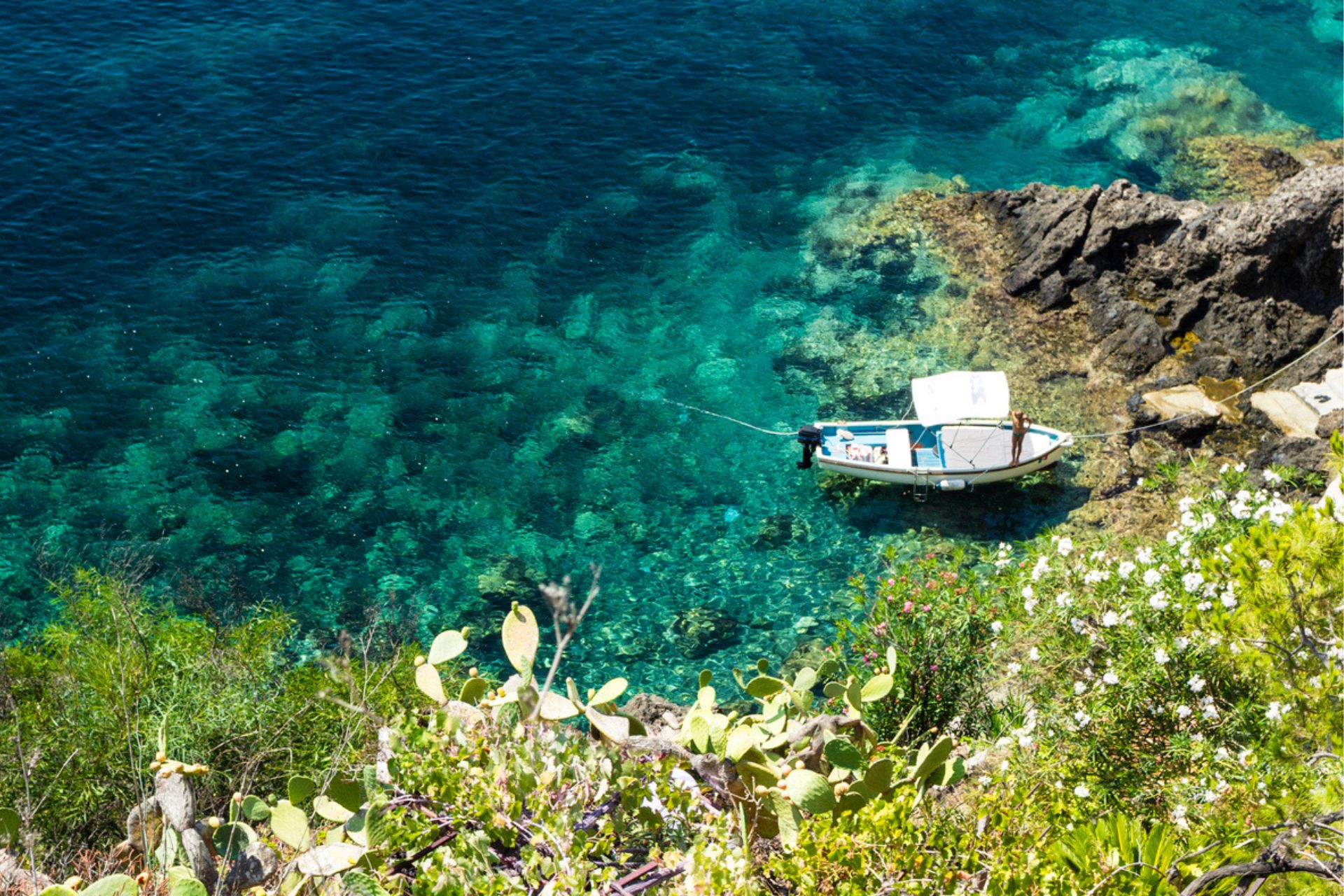 turismo sostenibile: I fondali di Ustica