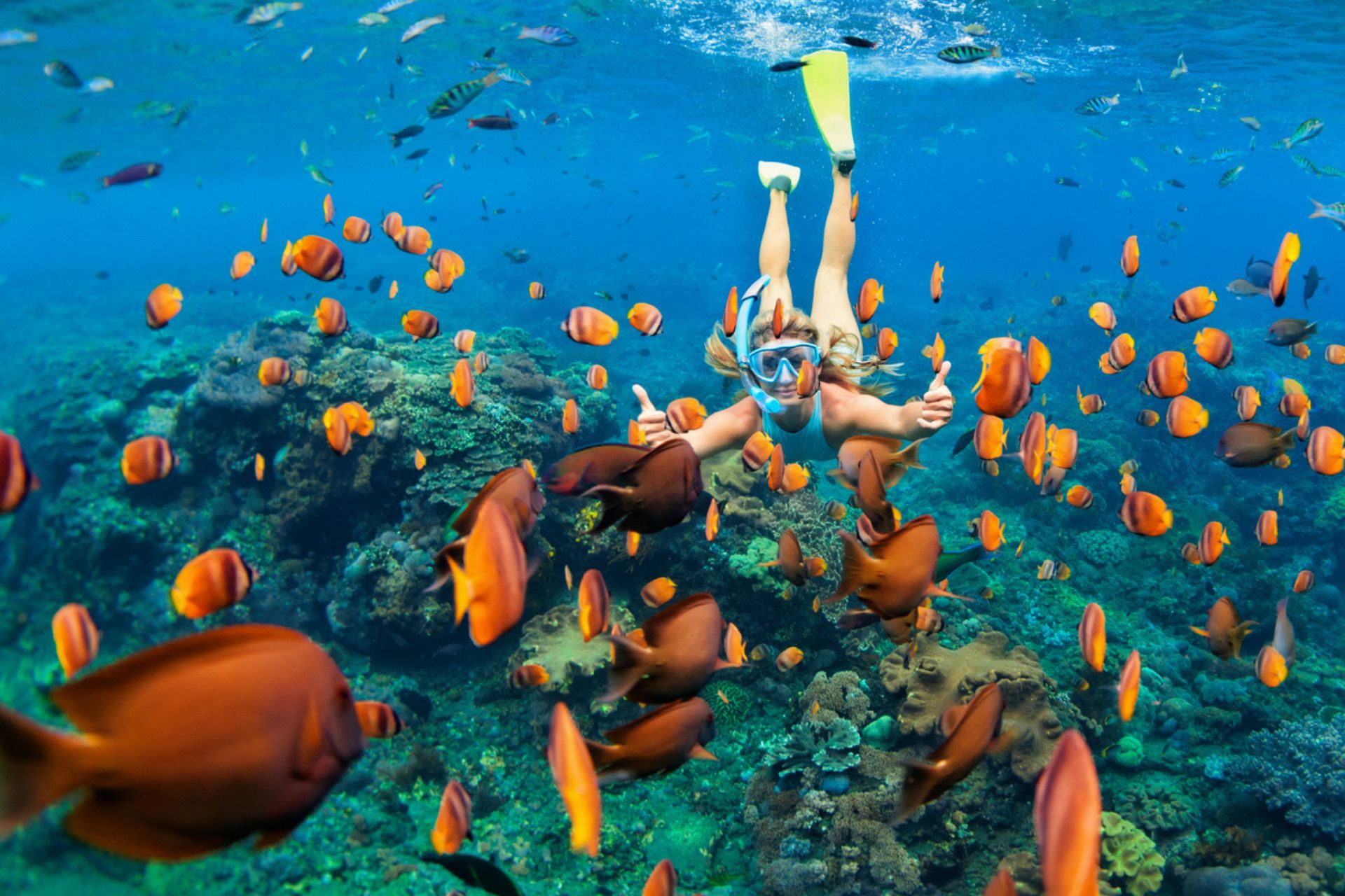 immersioni: sub nuota fra i pesci