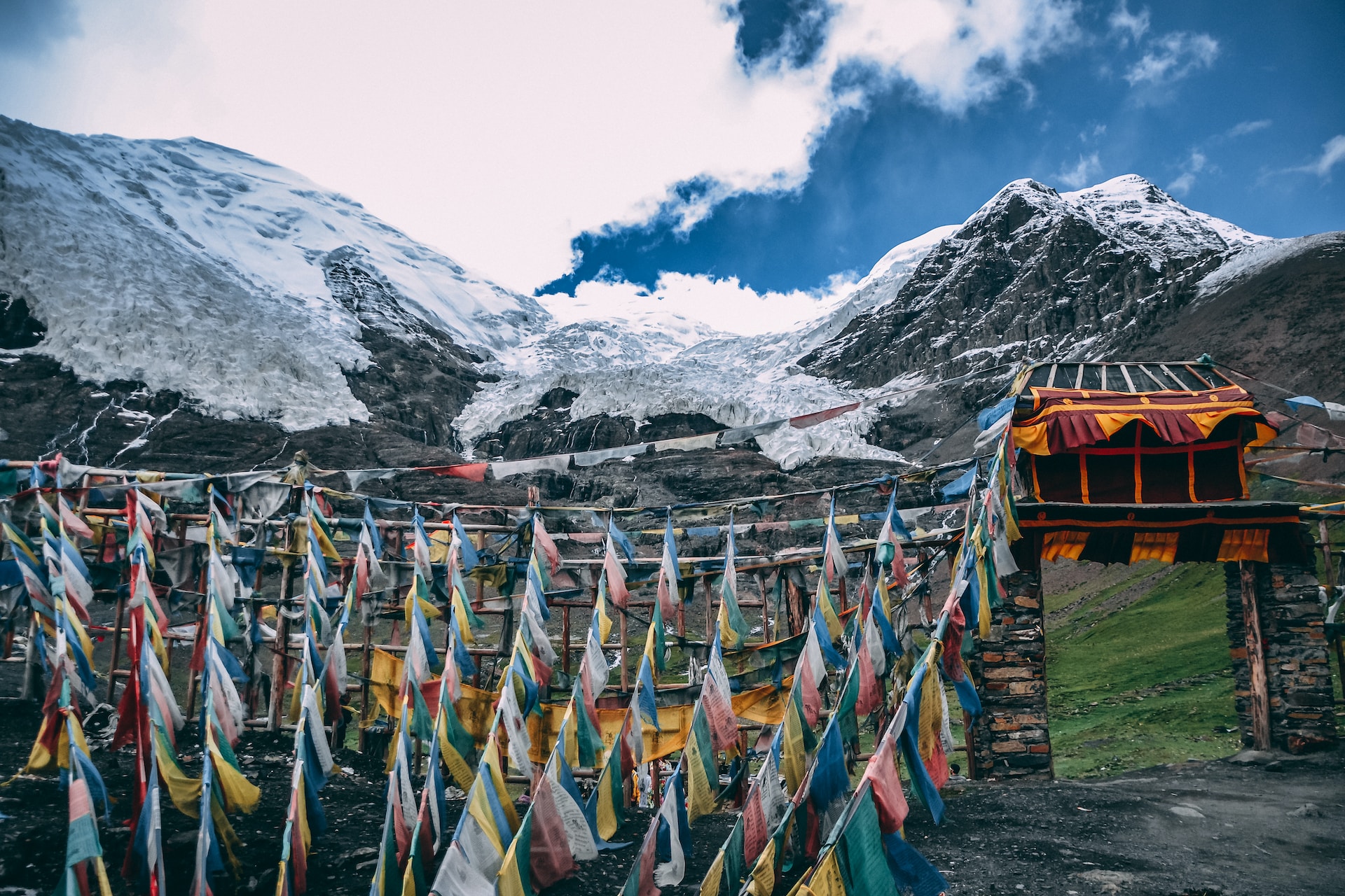 Tibet: afforestazione