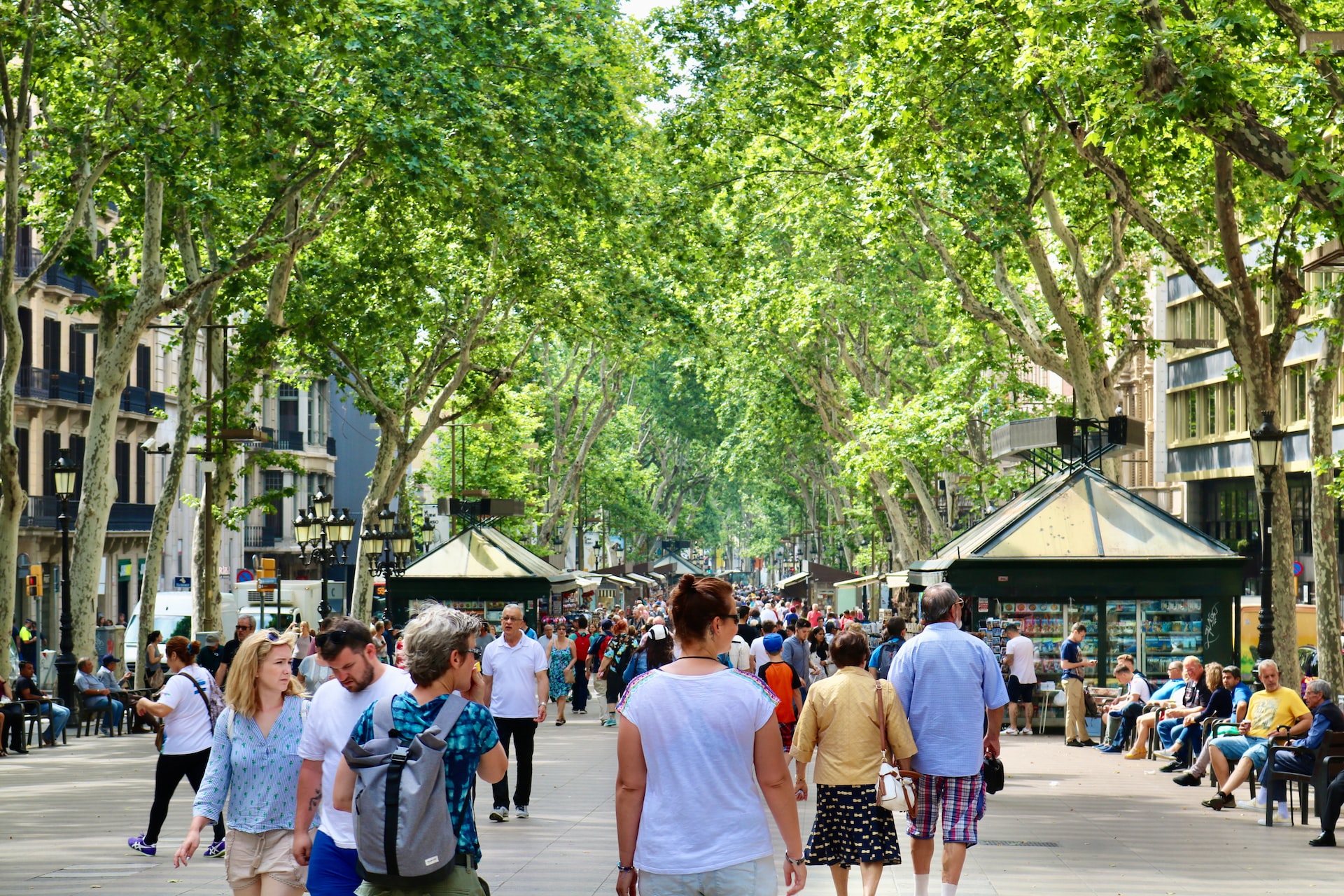 Alberi: la Rambla di Barcellona
