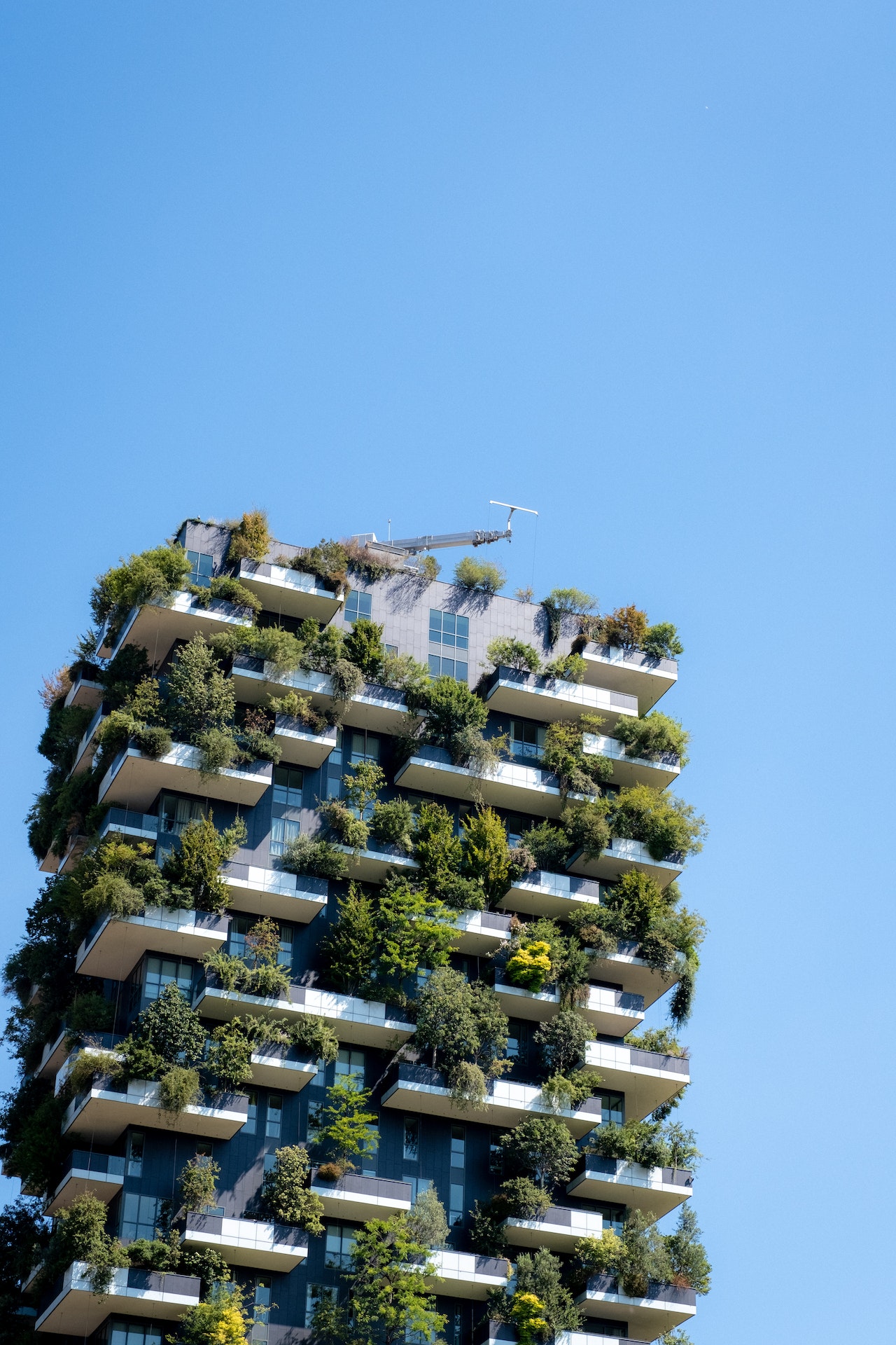 Edilizia sostenibile: Bosco Verticale