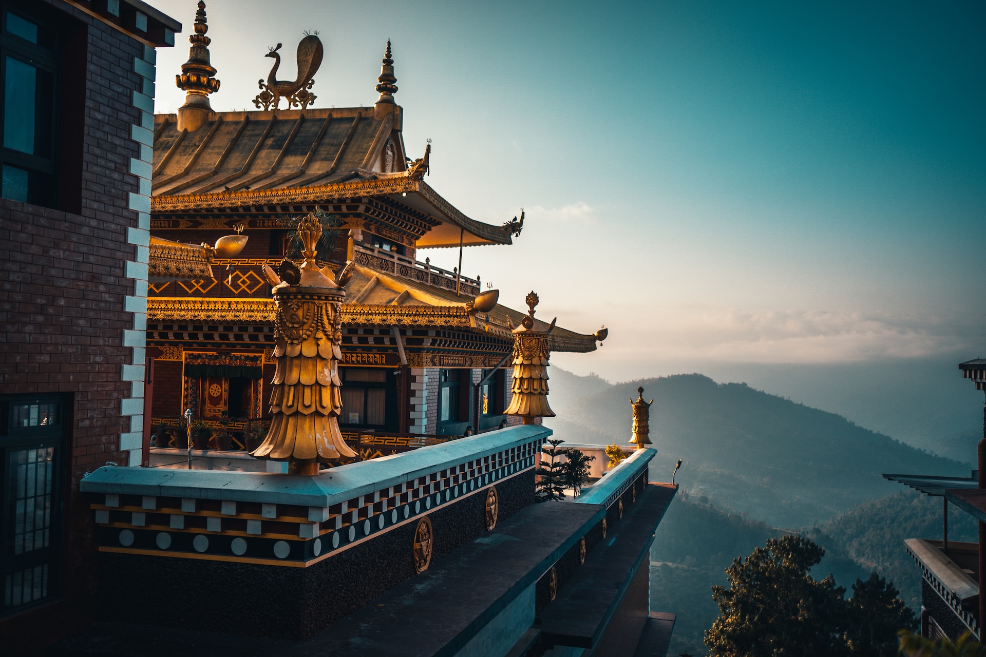 Tibet: afforestazione