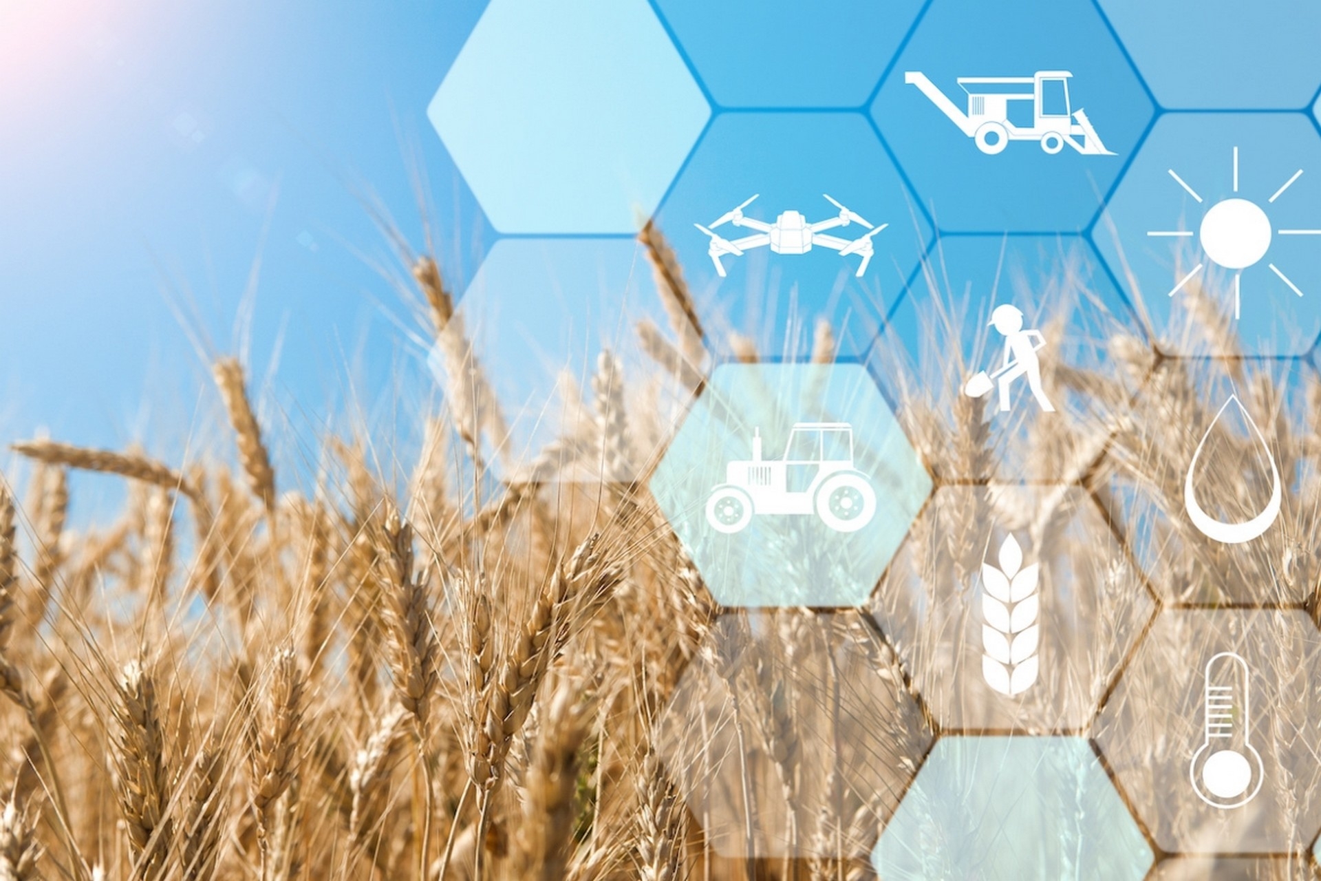 AI: le applicazioni di AI diventano sempre più pervasive, anche in agricoltura