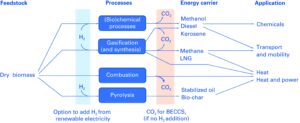 Legno: i metodi più importanti per estrarre le fonti di energia dal legno energetico in un grafico realizzato ad hoc