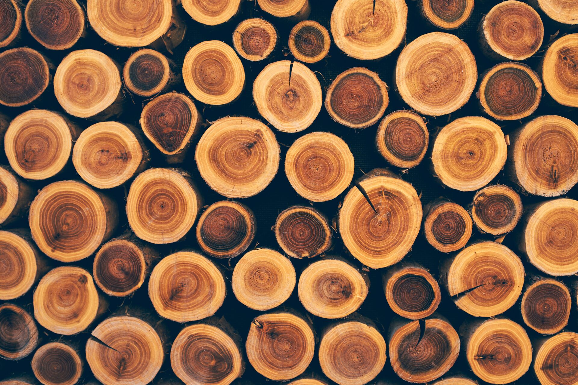Legno: attualmente, l'energia del legno rappresenta circa il 5 per cento del consumo totale di energia finale in Svizzera, ossia circa 40 petajoule (PJ) all'anno