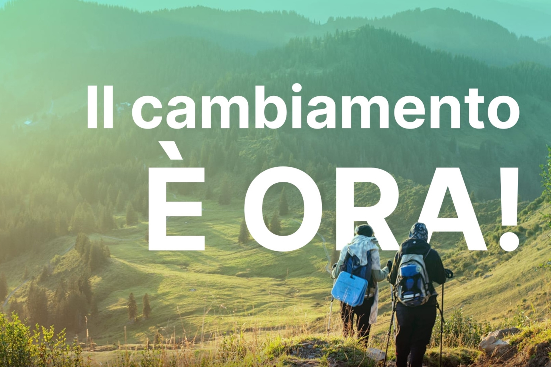 Formazione: