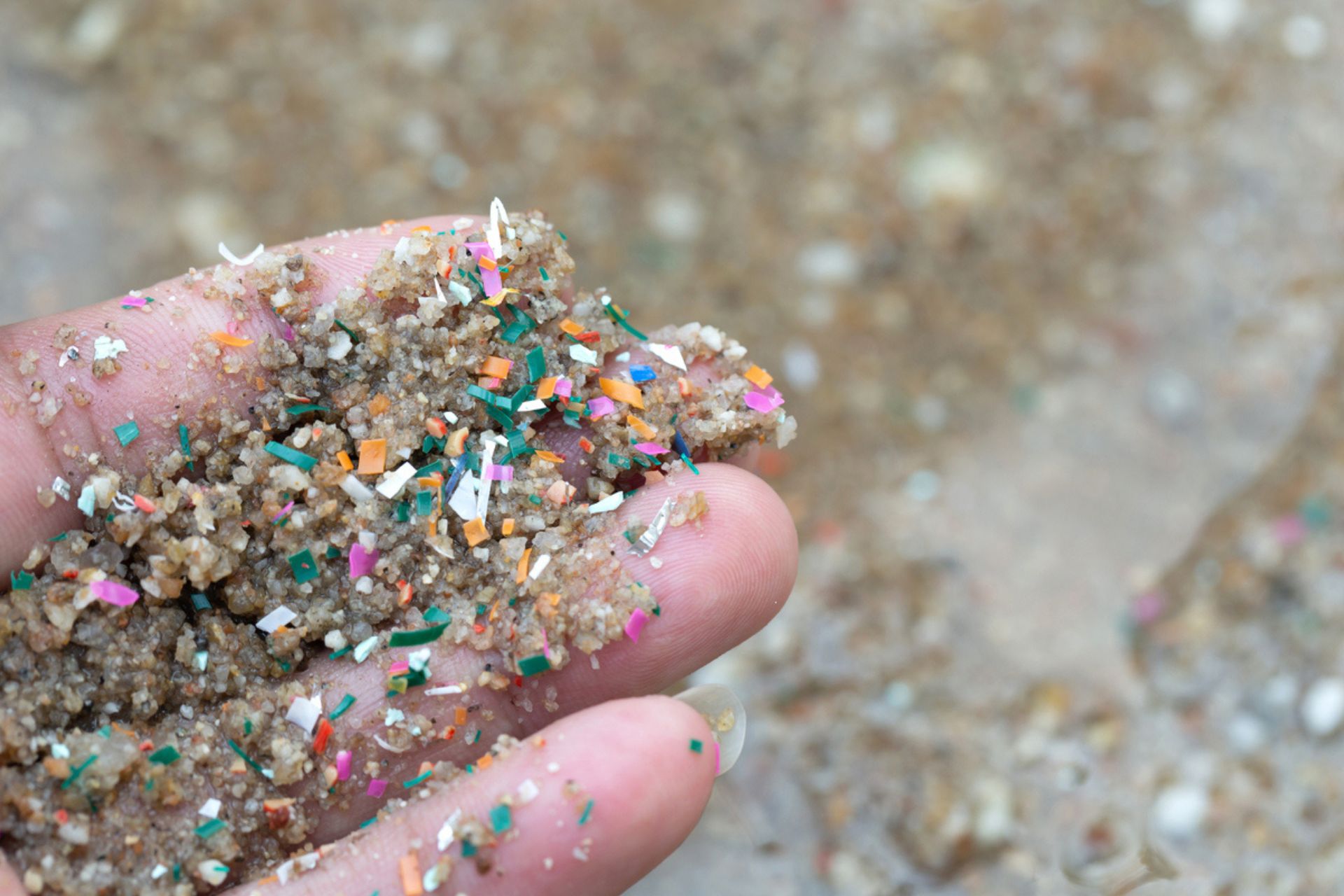 Source to sea: microplastica che inquina gli oceani