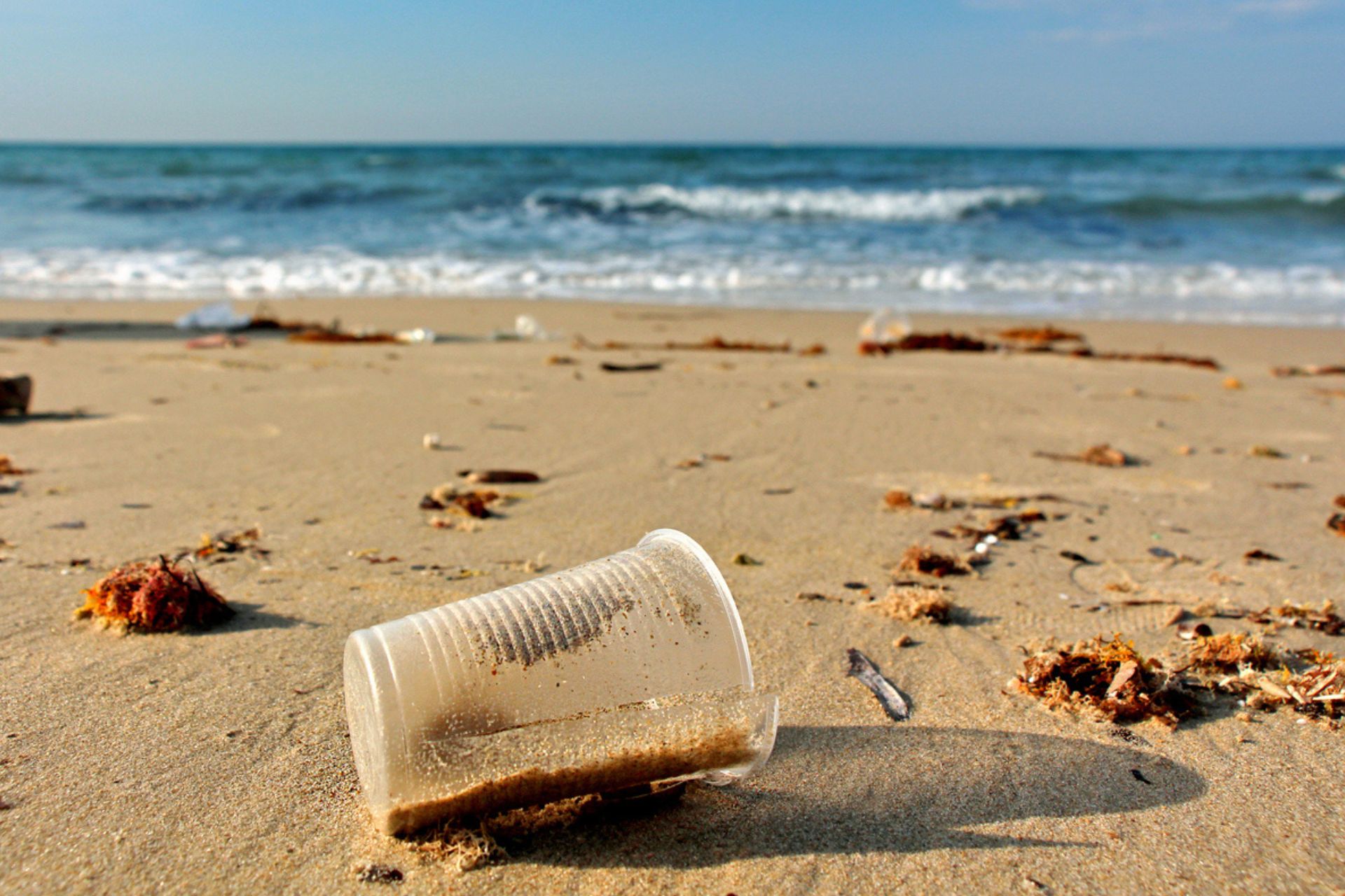 Source to sea: Plastica abbandonata sulla spiaggia