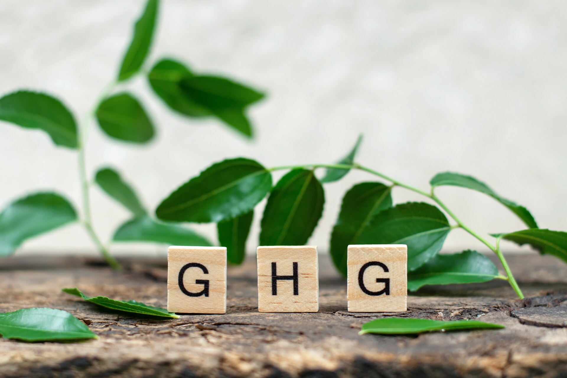 CO2: sono cinque le Negative Emission Technologies (NET) chiamate ad aiutare nell’azzeramento dell’anidride carbonica