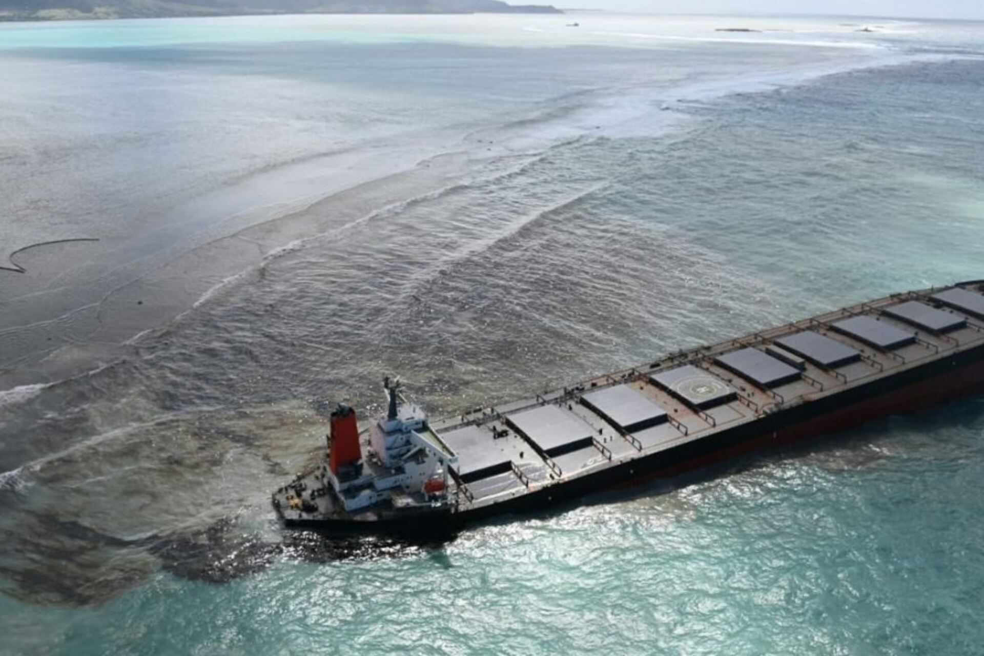 Pecora: la tragedia dello sversamento di petrolio in mare provoca danni irreparabili all'ambiente marino e terrestre, oltre ad inquinare le risorse che influenzano la nostra vita quotidiana