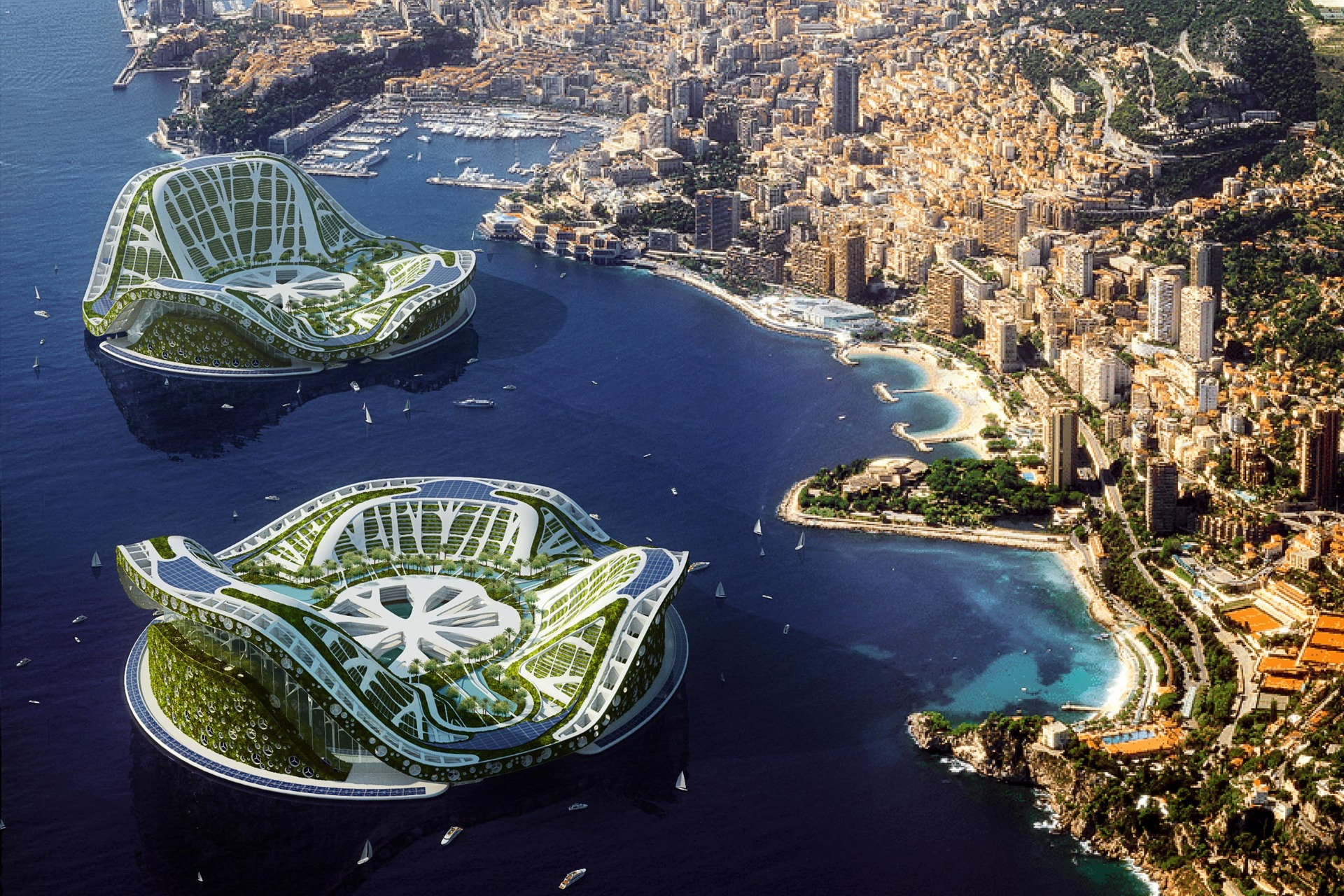 Callebaut: Lilypad
