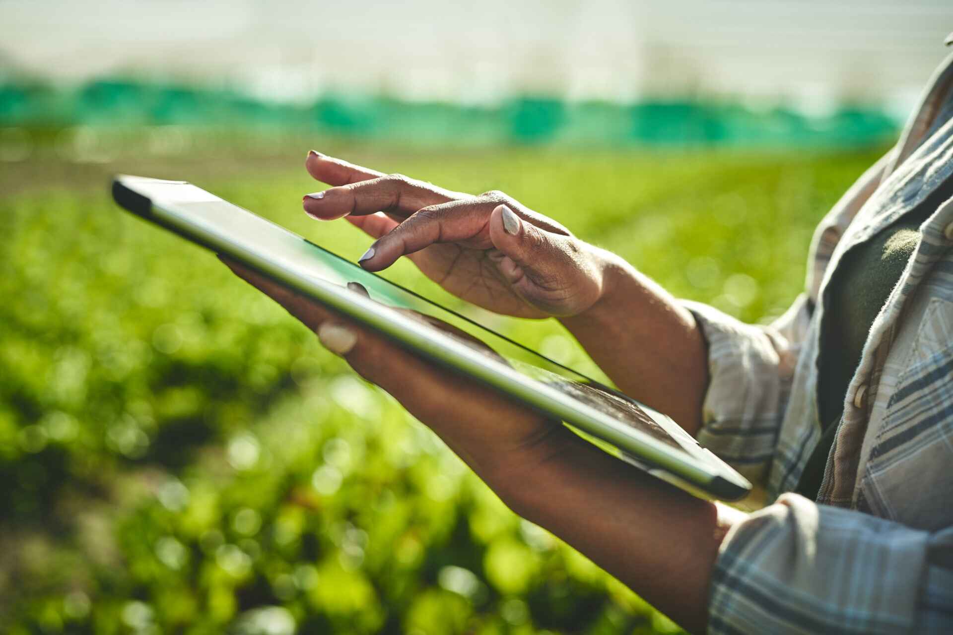 Professioni innovative: quali sono i lavori del futuro nell'ecologia