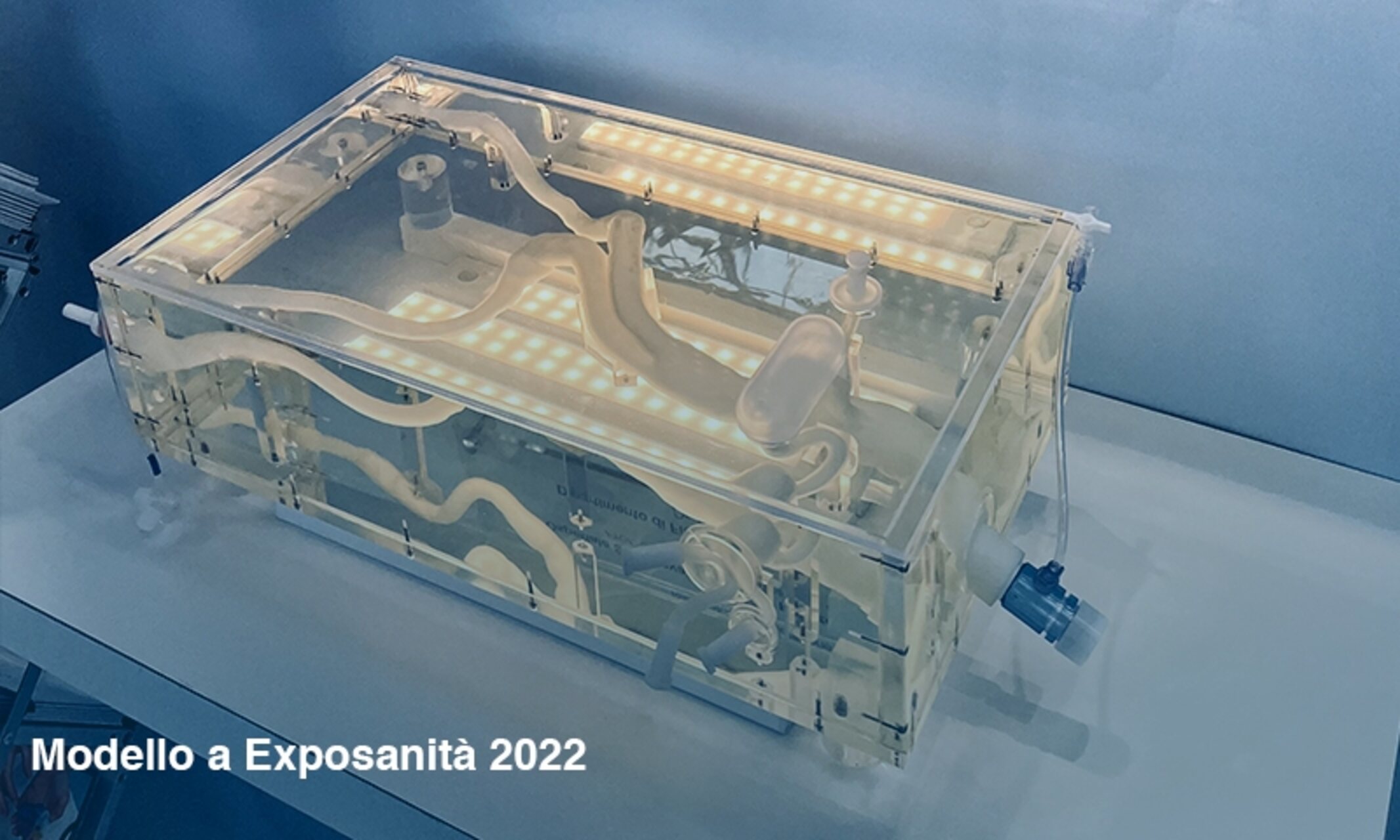 Simulatore aortico: il modello a "Exposanità" 2022