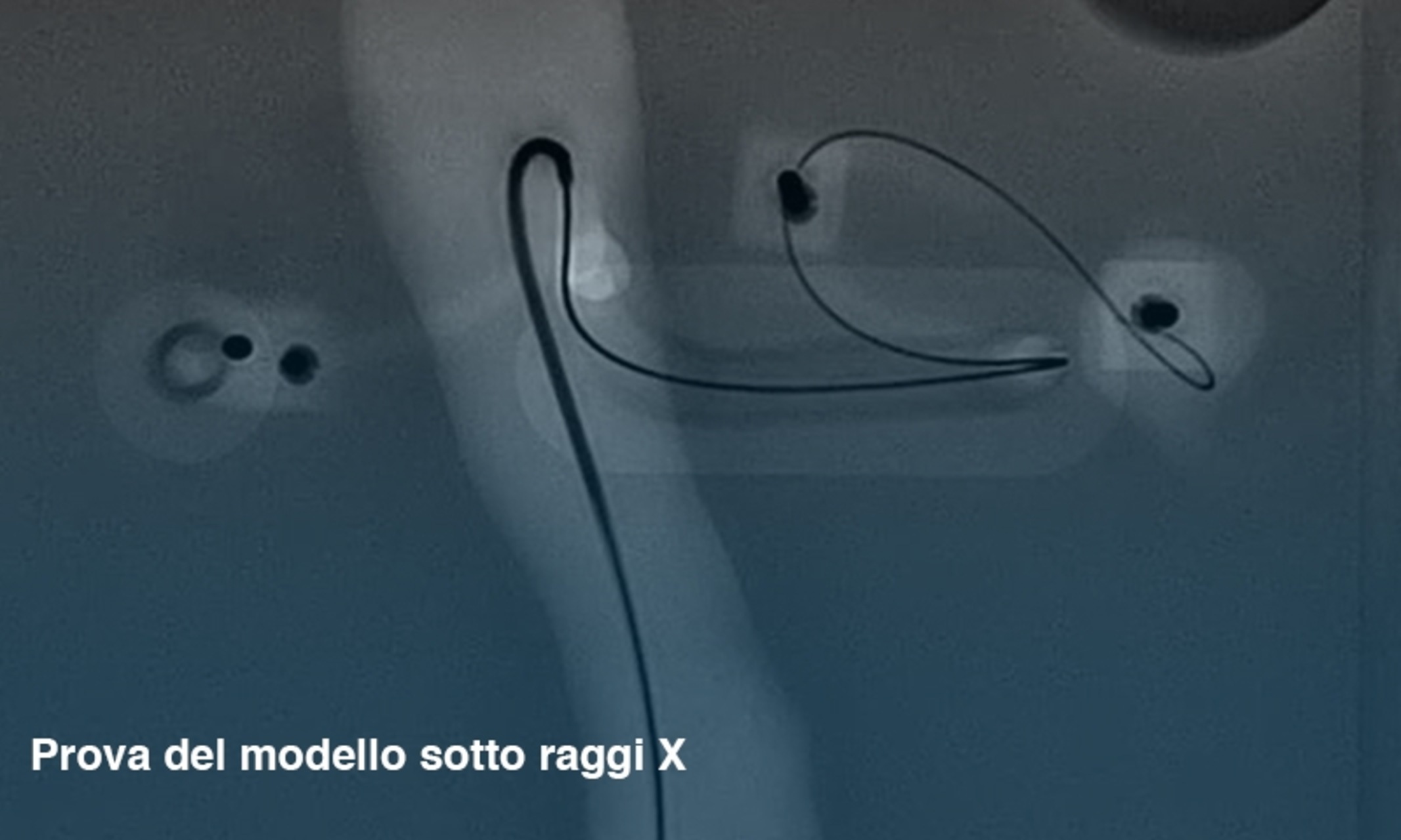 Simulatore aortico: prova del modello sotto i raggi X