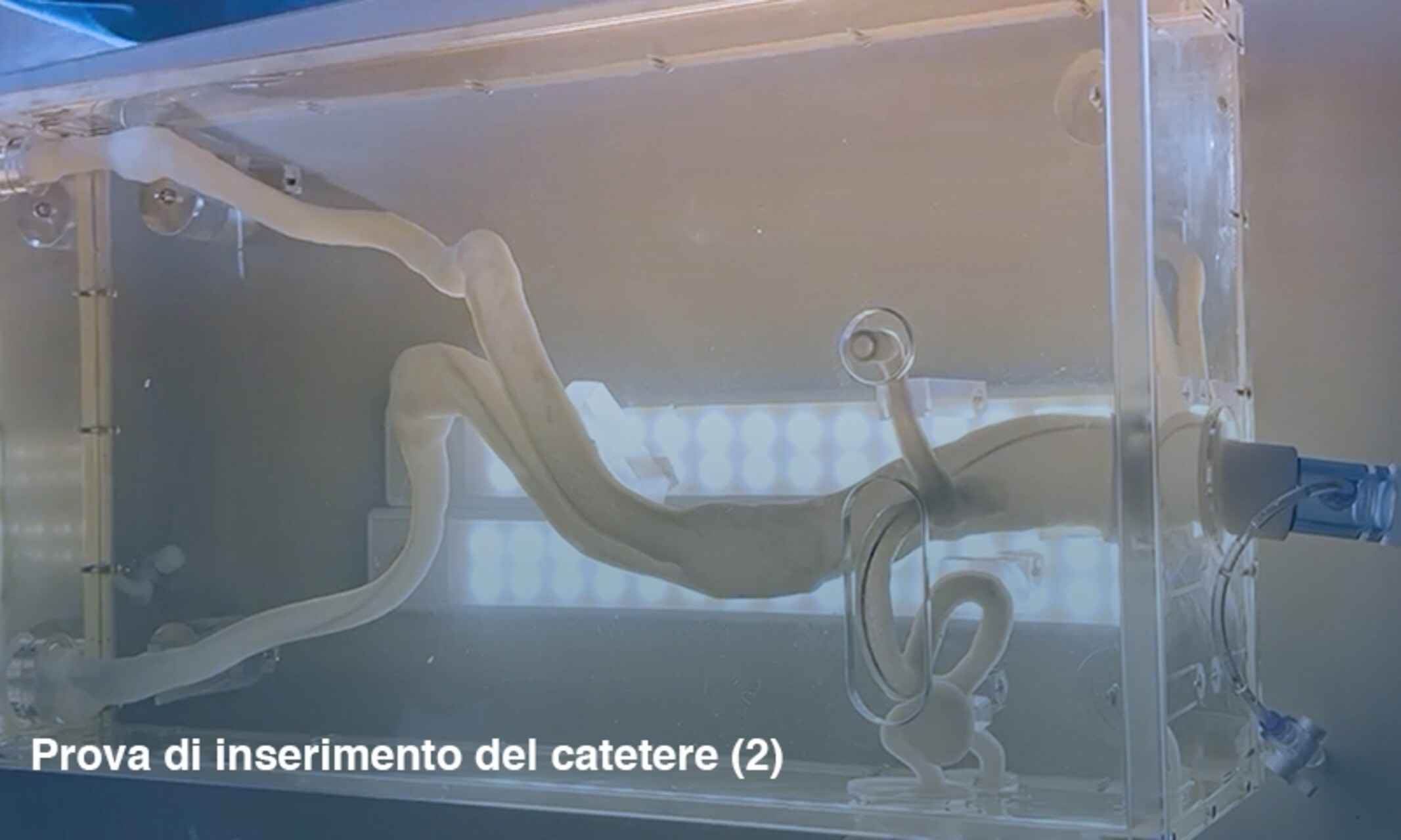 Simulatore aortico: prova di inserimento del catetere