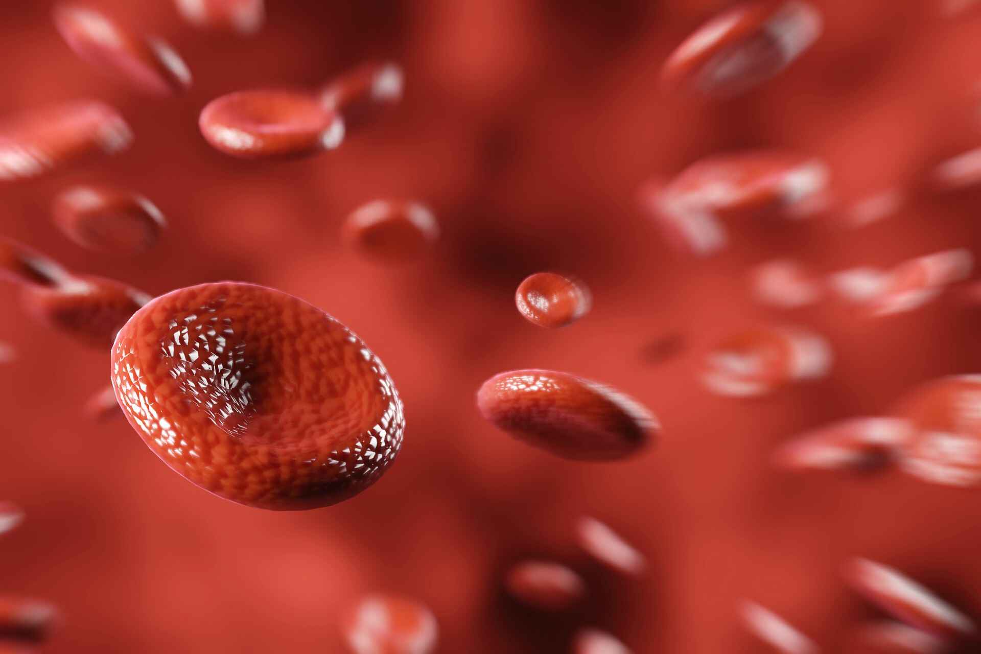 Ferro: il ferro è necessario per la produzione dell’emoglobina