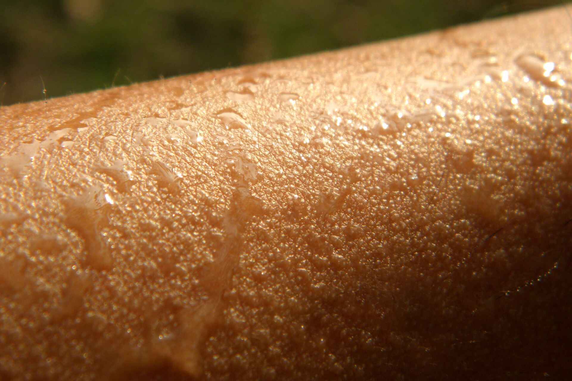 Idratazione: un adulto sedentario perde dai 2 ai 3 litri di acqua al giorno
