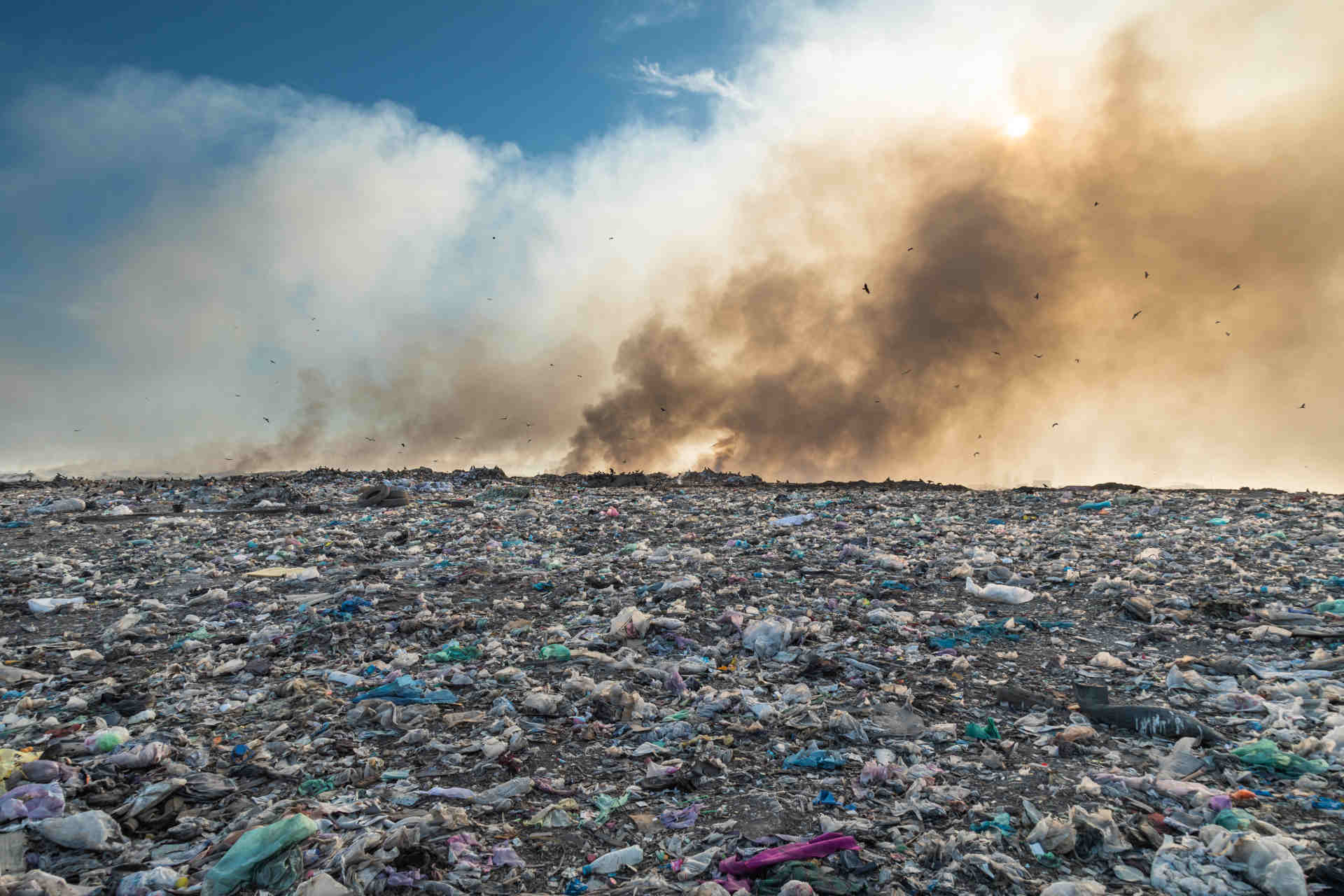 Dalle discariche alle passerelle di Parigi: la moda circolare di Nakazato