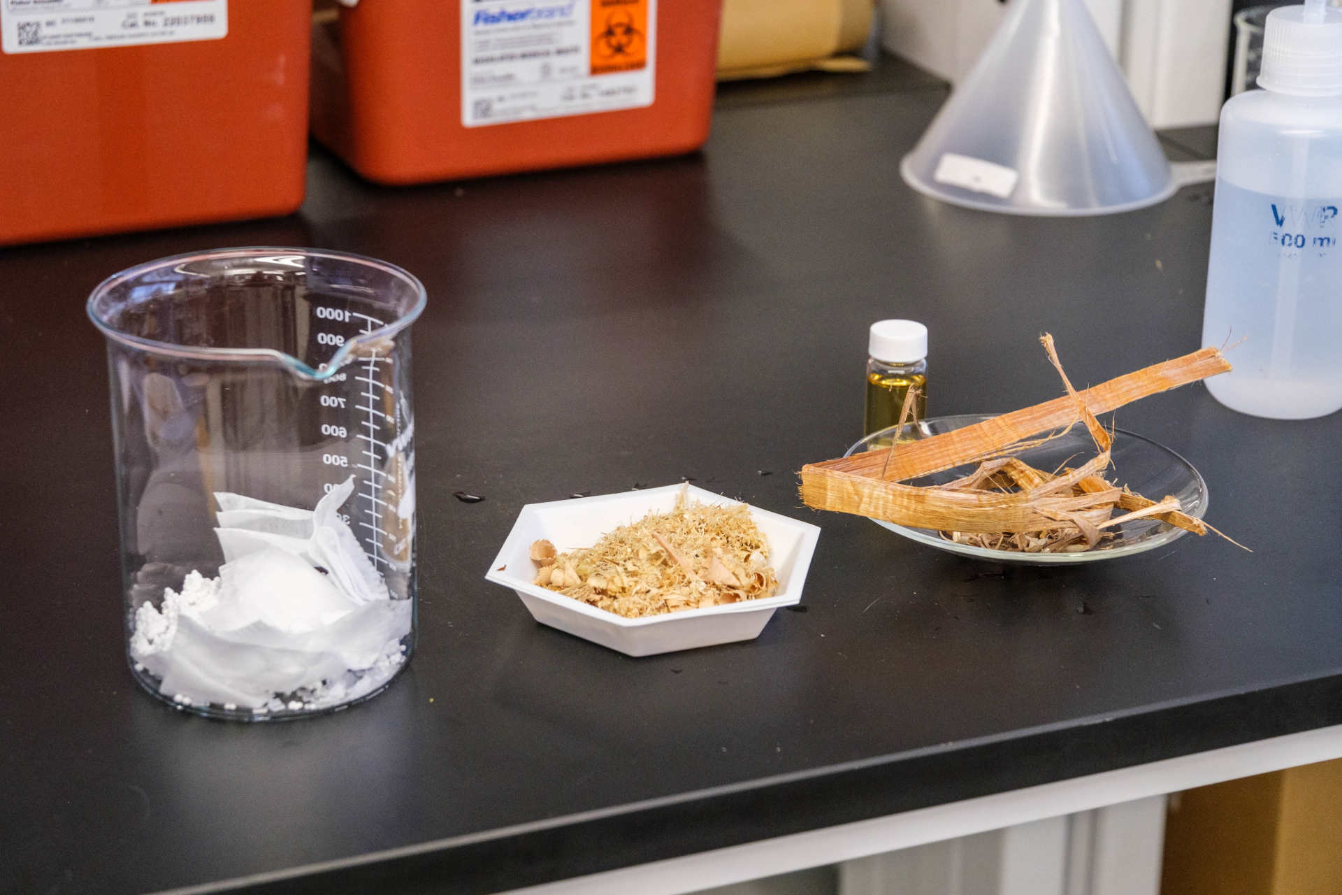 Microplastiche, la soluzione che viene dalle piante
