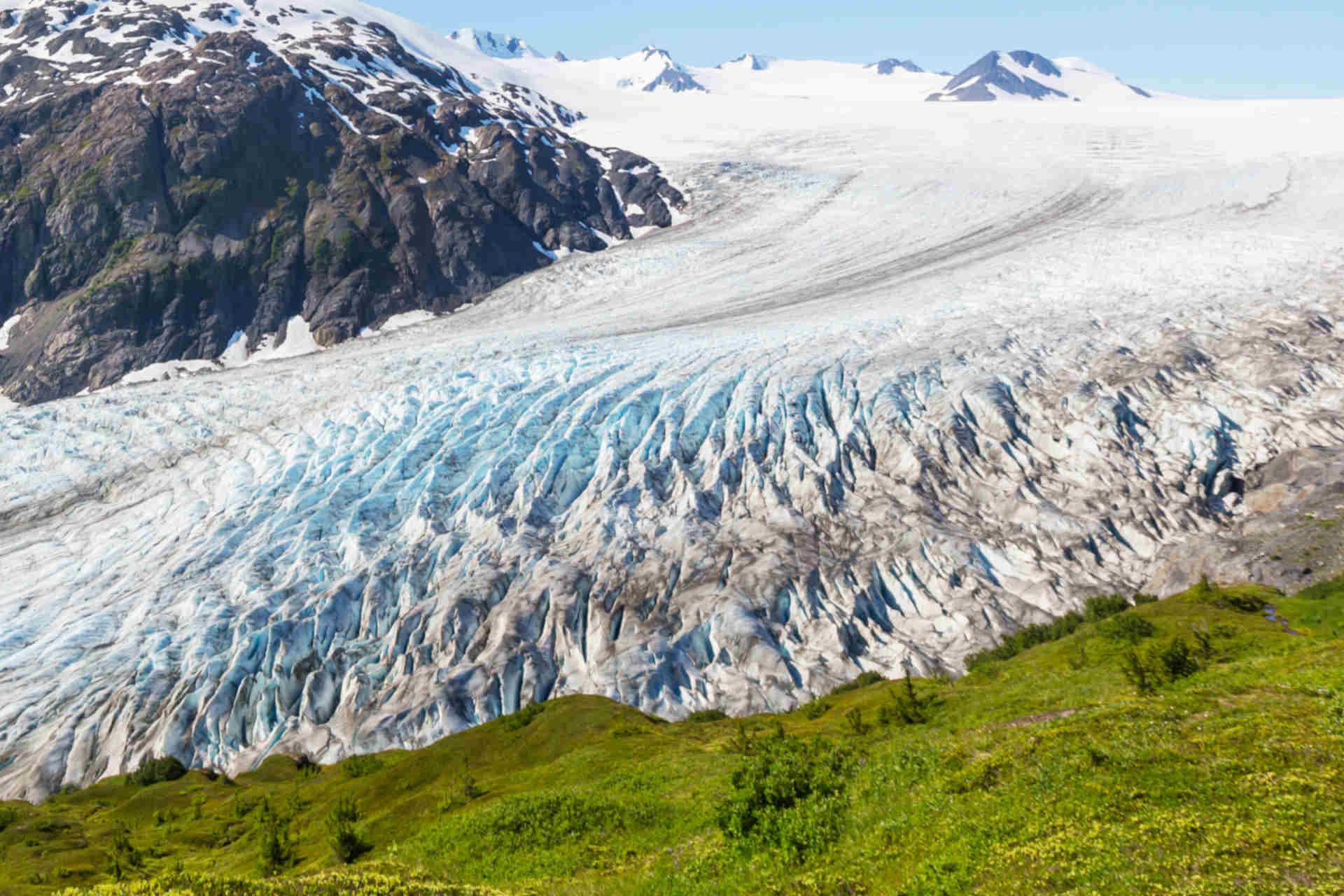 Entro il 2100 si formeranno nuovi ecosistemi: lo studio
