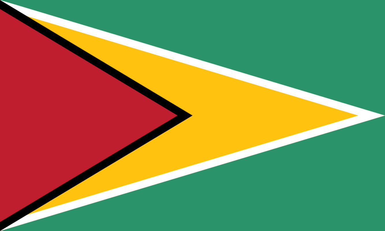 Bandiera della Guyana, simbolo delle notizie dal Paese su Innovando News