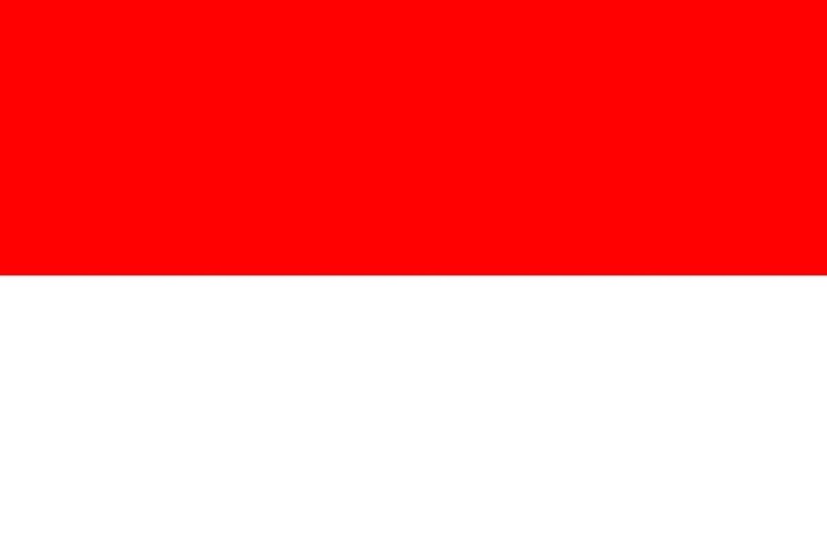 Bandiera dell'Indonesia, simbolo delle notizie dal Paese su Innovando News