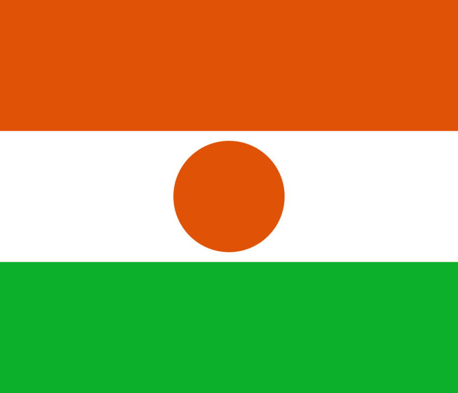 Bandiera del Niger, simbolo delle notizie dal Paese su Innovando News