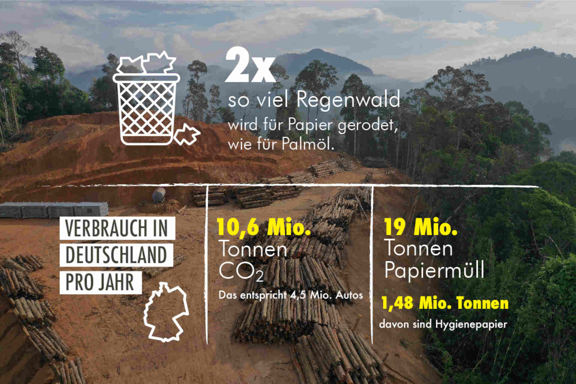 L'infografica Dyson sul consumo di carta in Germania