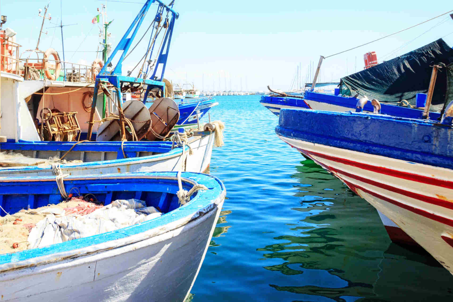 Pesca sostenibile, serve l'impegno di tutti