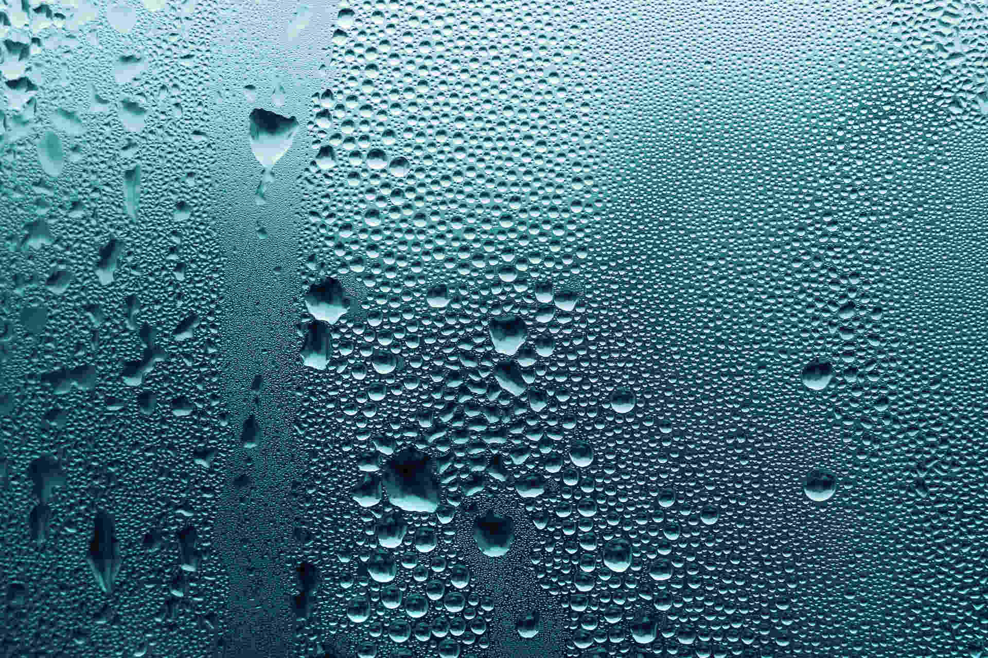 Catturare l'acqua dalla nebbia: il nuovo esperimento in Svizzera