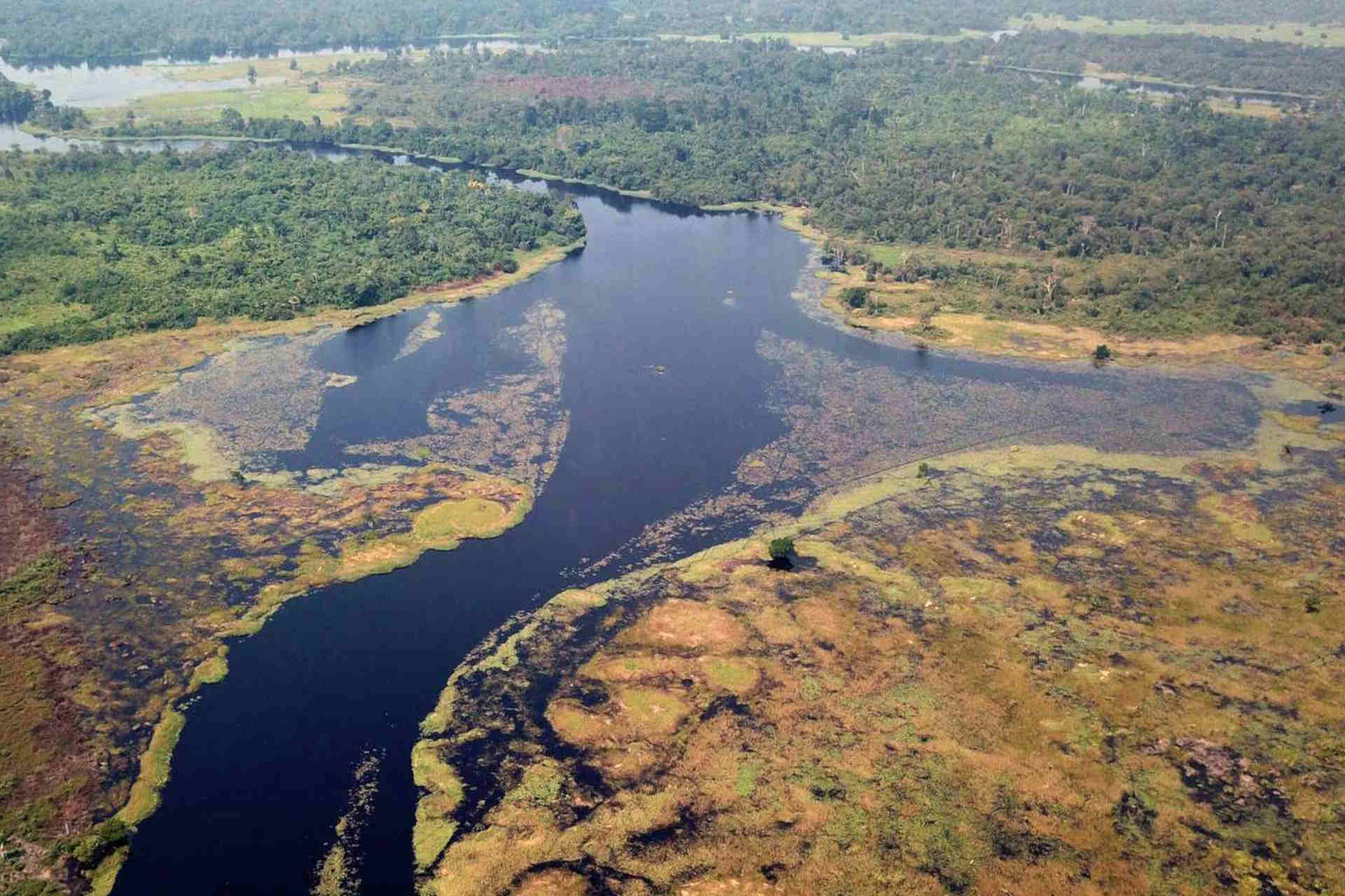 Fiume più scuro del mondo: uno studio del Politecnico di Zurigo sul Ruki in Congo
