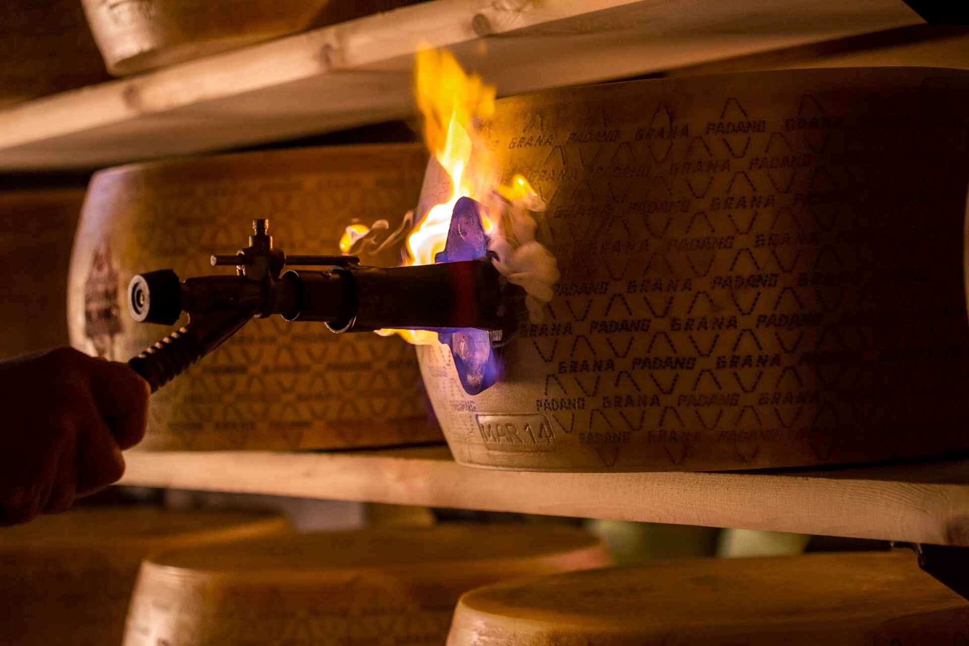 Consorzio del Grana Padano