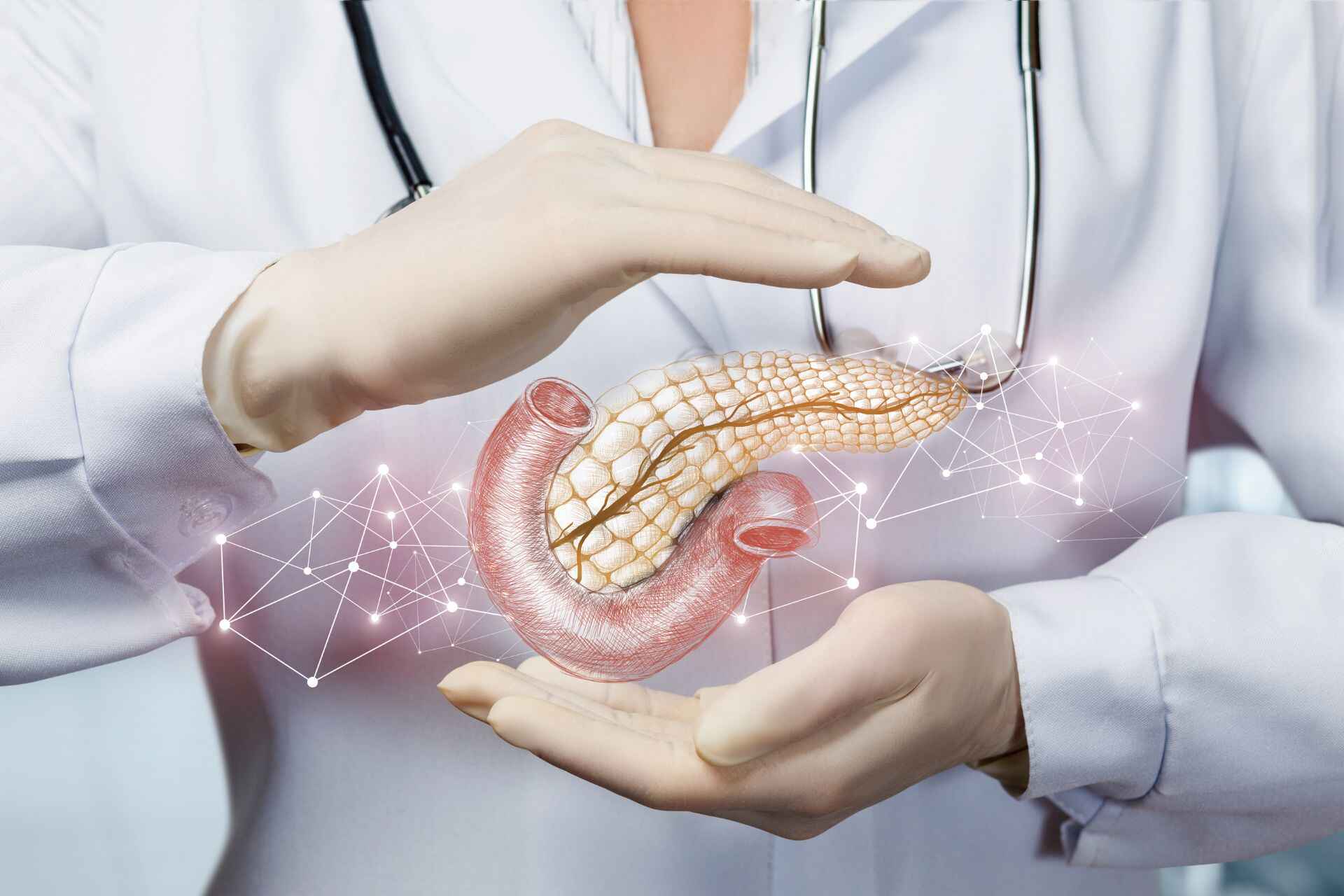 Trigliceridi: il pancreas produce l’insulina con lo scopo di stoccare i trigliceridi