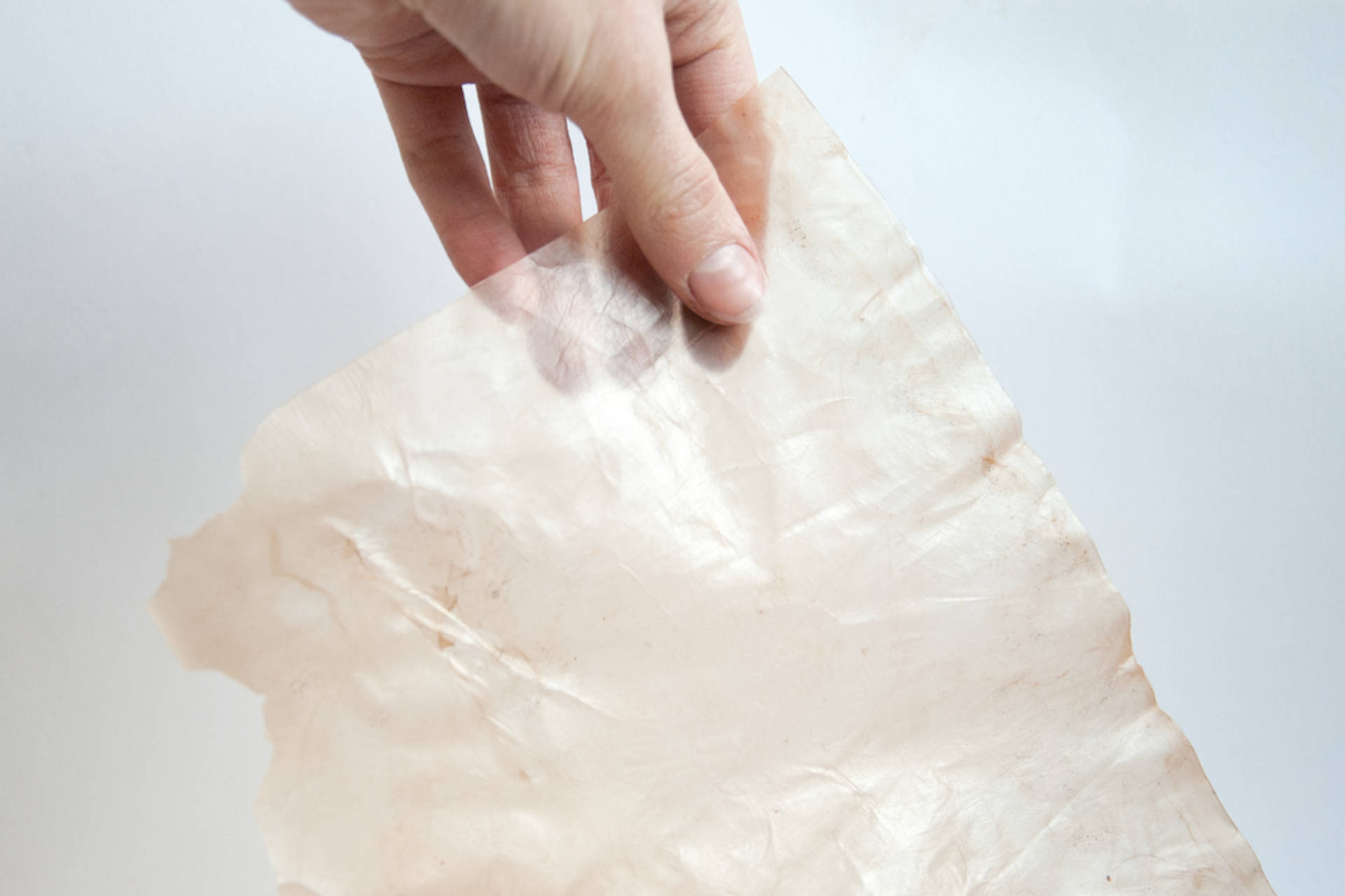 La cellulosa ottenuta dalla fermentazione degli scarti di mele
