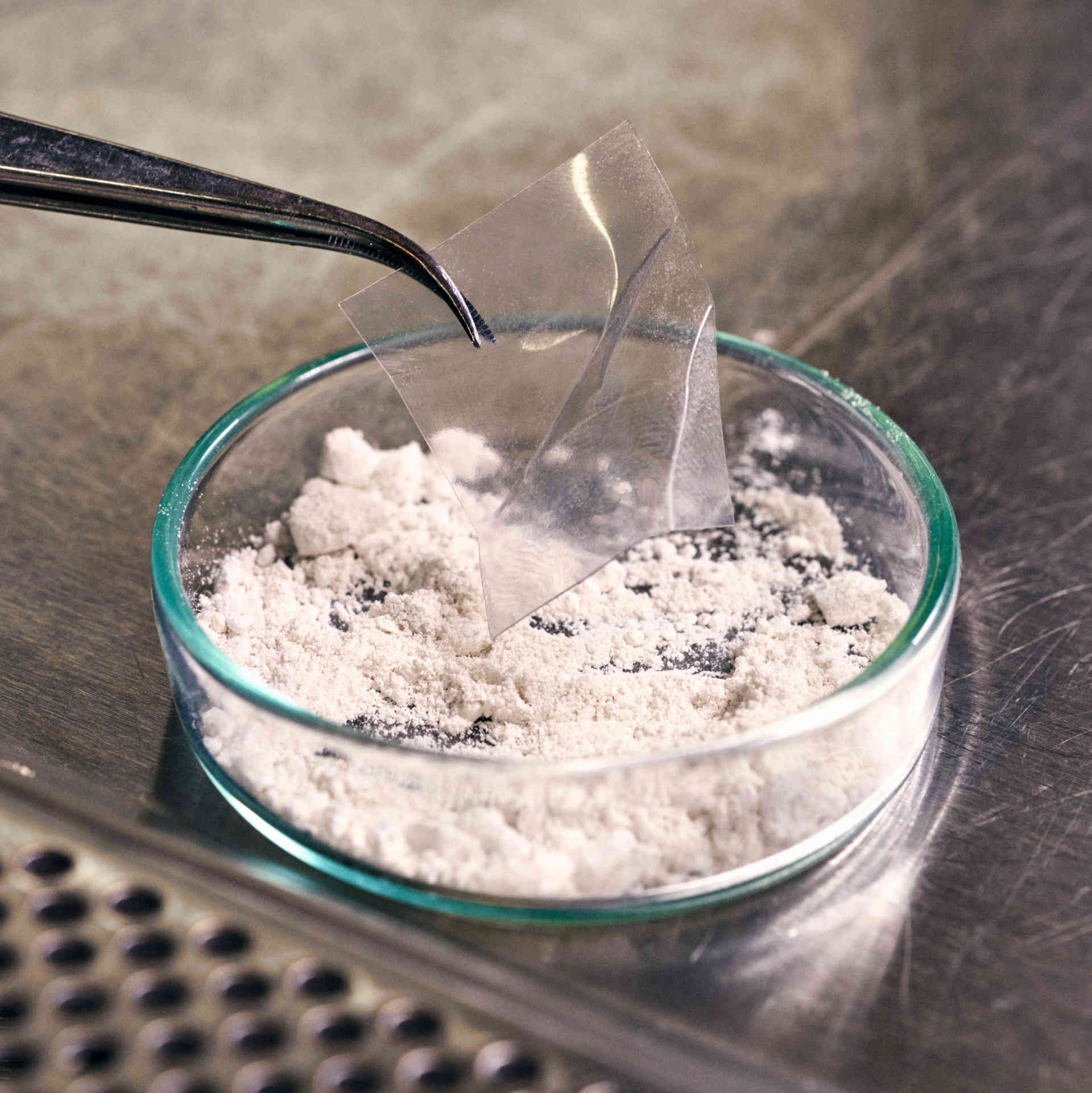 Da PET a vanillina passando per l'Escherichia coli