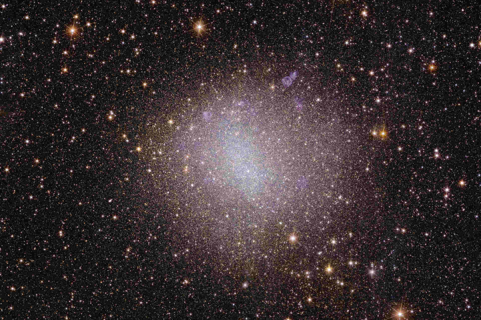 Le prime immagini del Telescopio Euclid