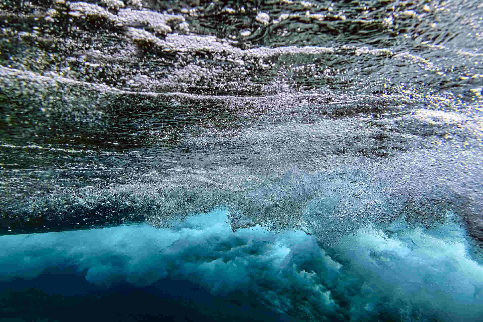 Il rumore dell’Antropocene: impatto su almeno 150 specie marine