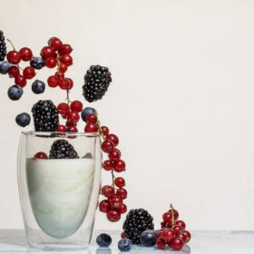 Alimenti fermentati: la cucina-laboratorio che crea il cibo del futuro