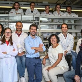 Dai gusci di scarto dei crostacei un esempio di economia circolare